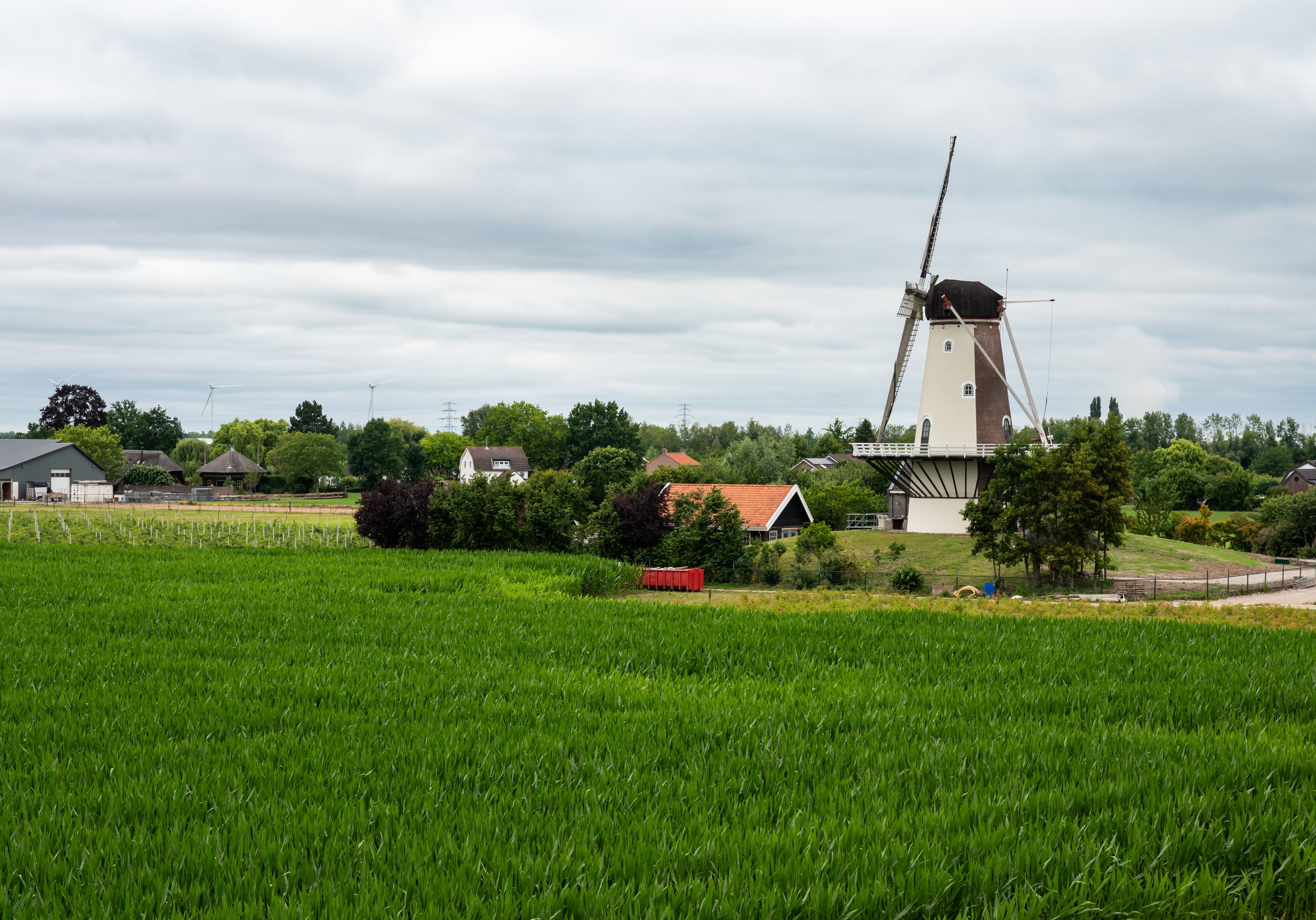 Monument Dodewaard