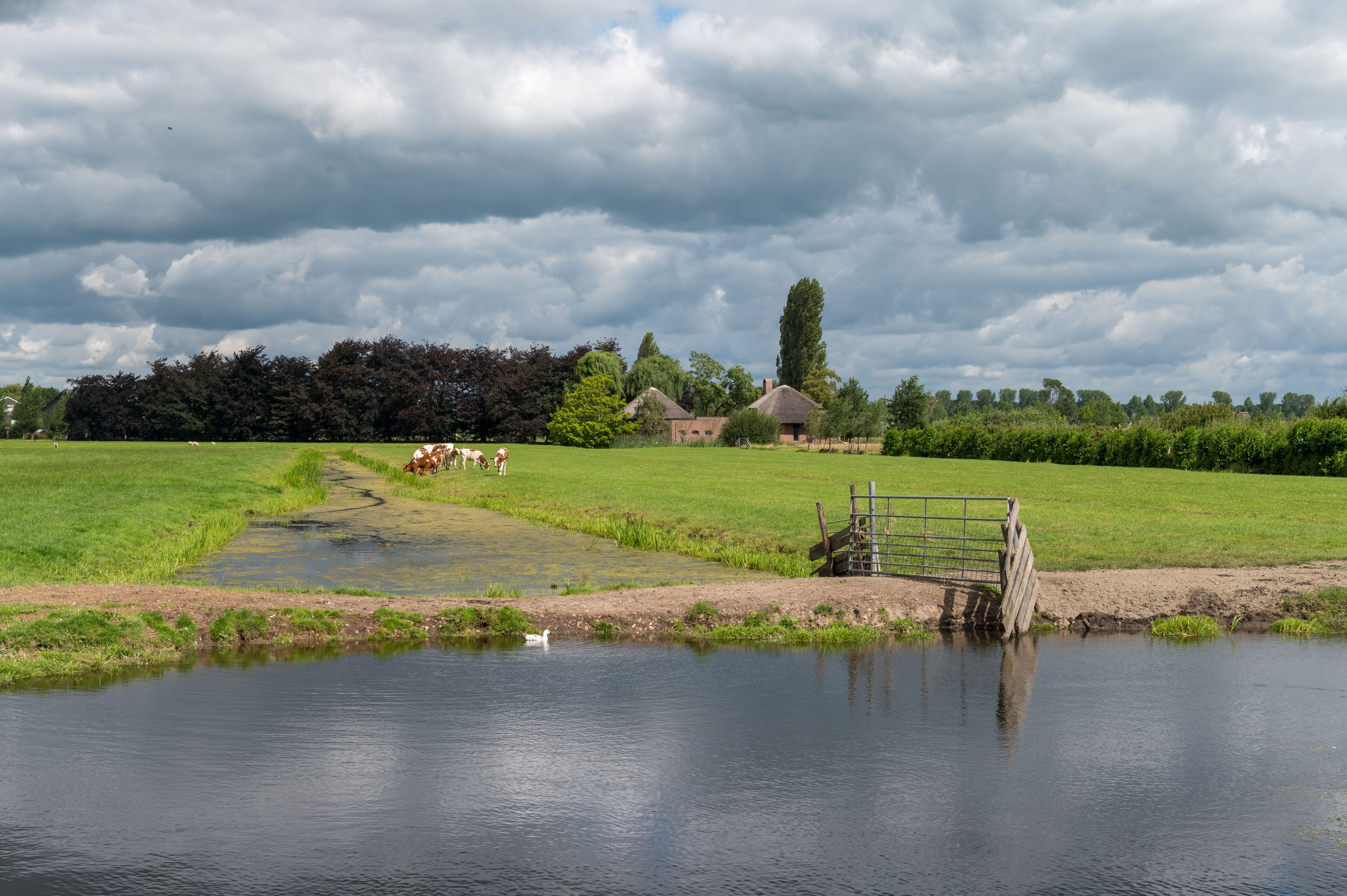 Driebruggen