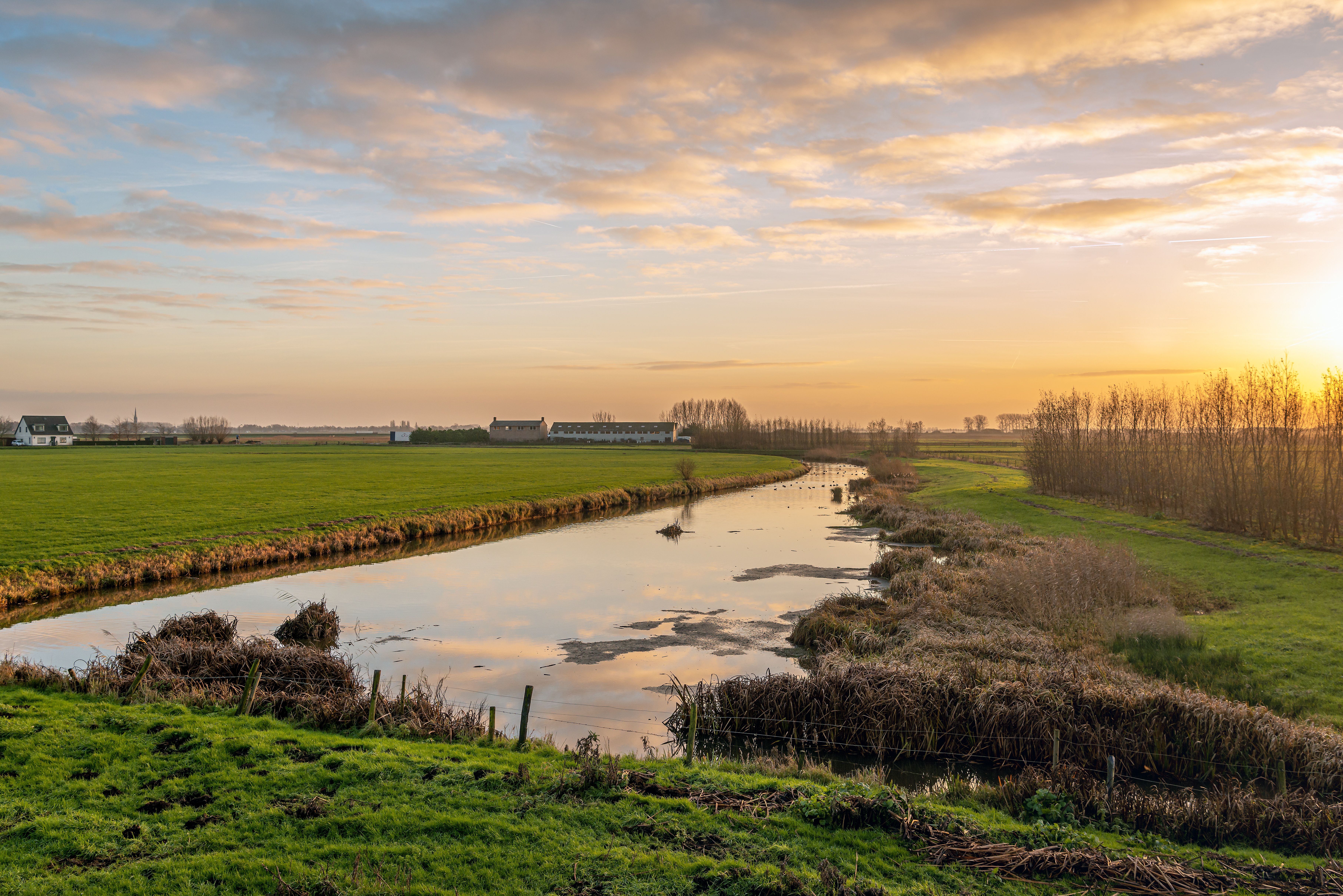 Drimmelen