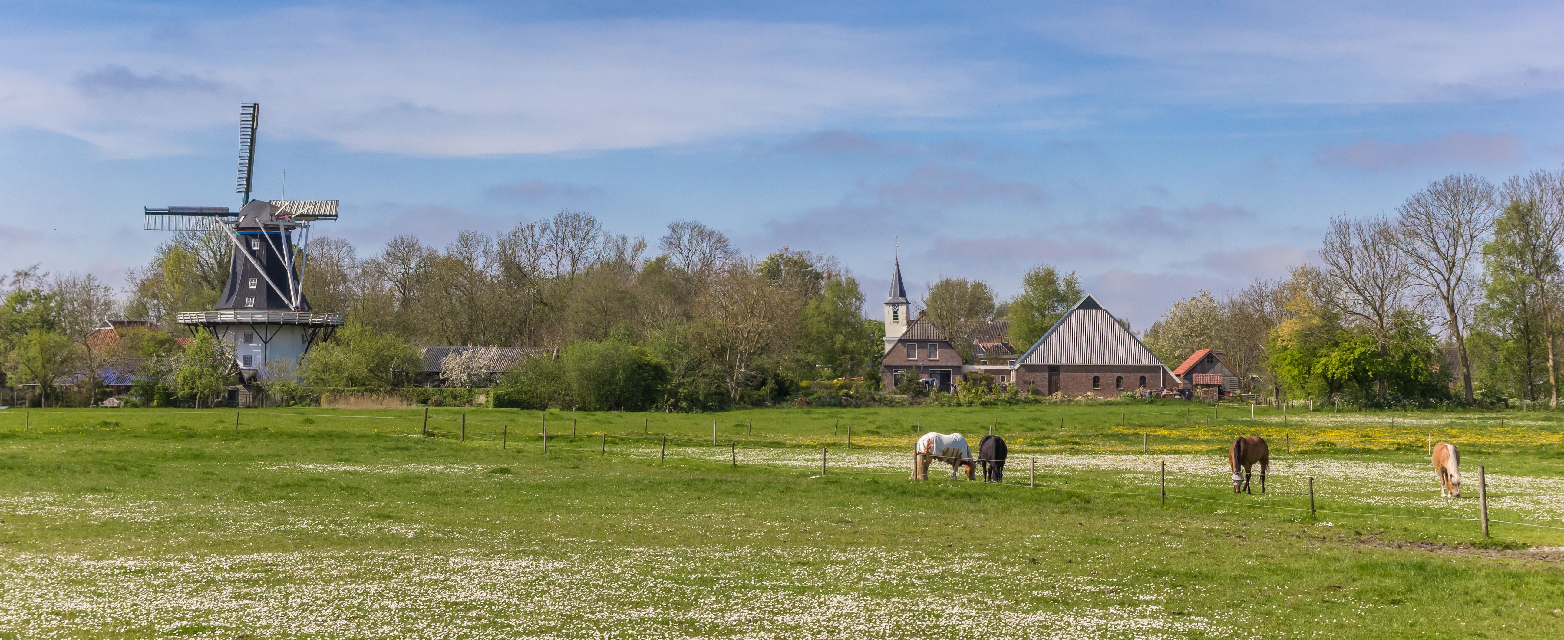 Feerwerd