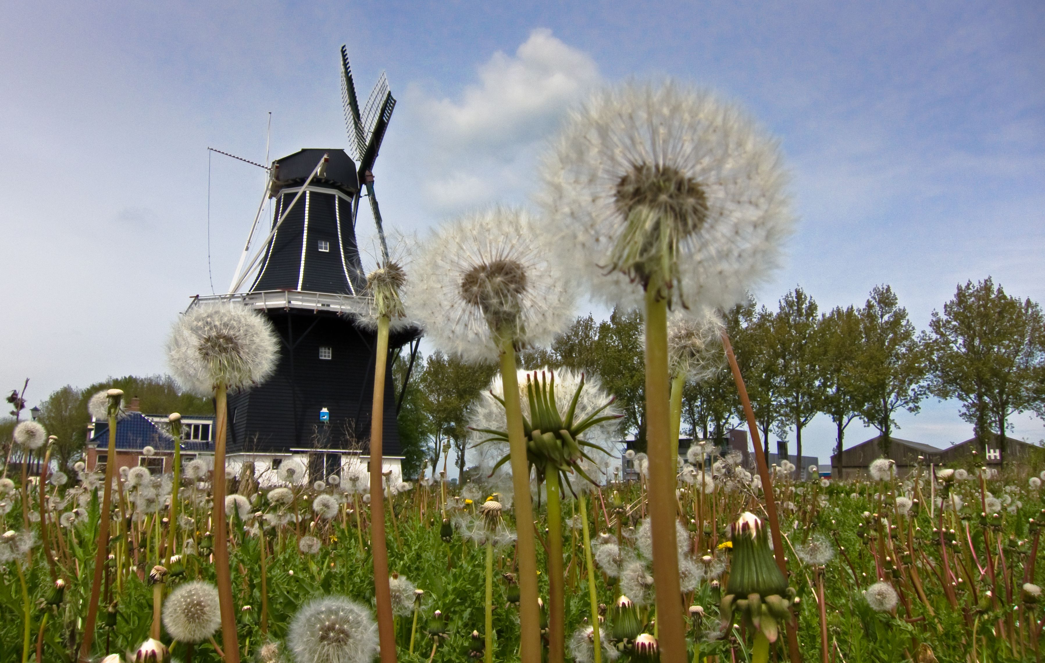 Monument Grijpskerk