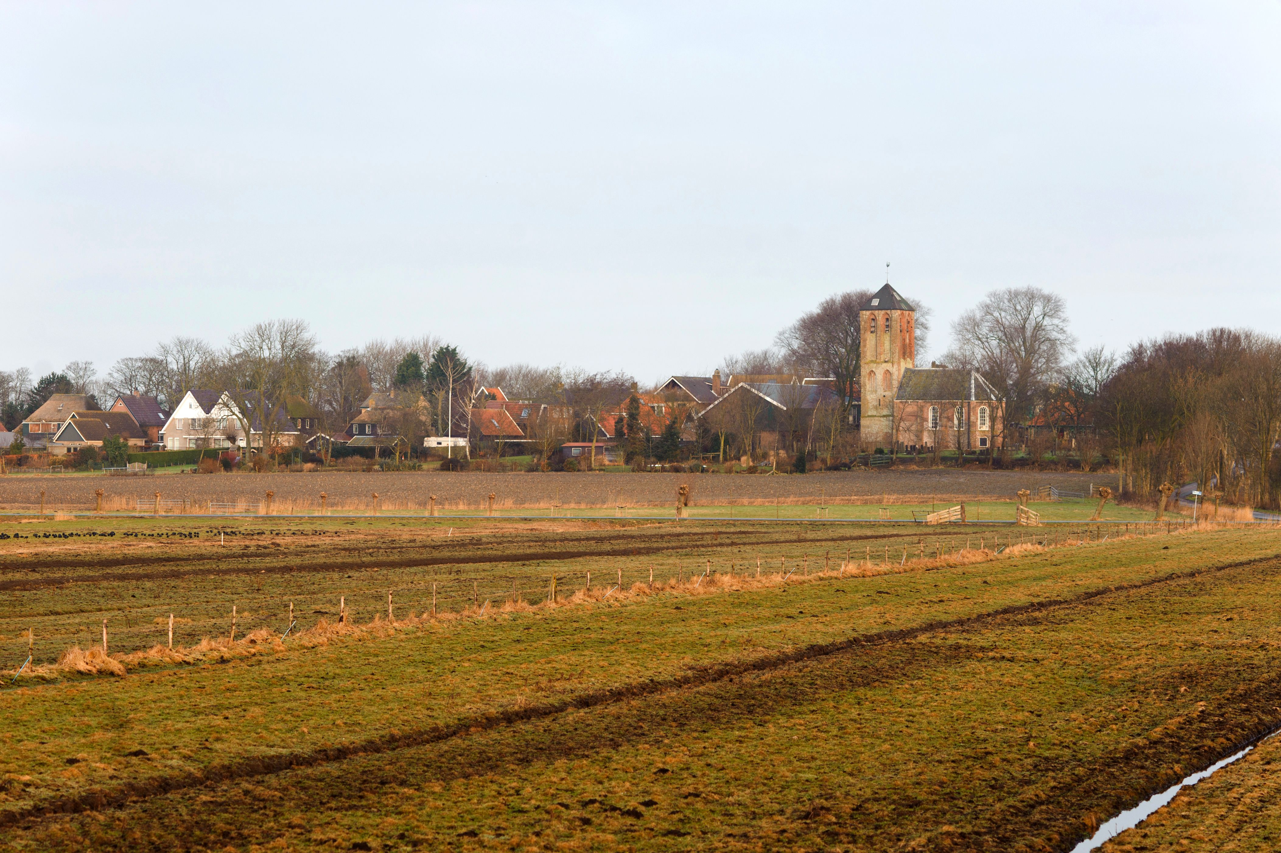 Hippolytushoef