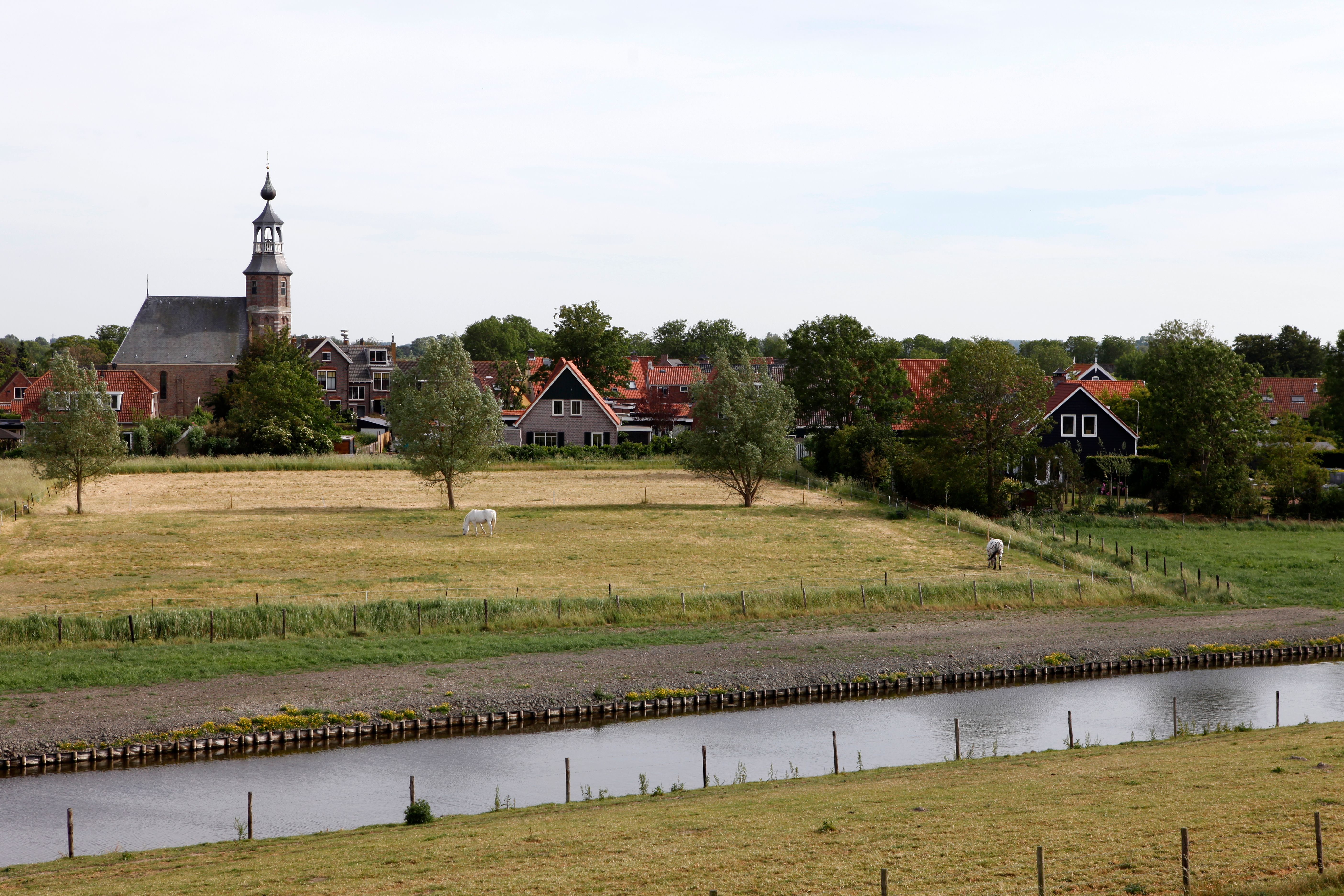 Kattendijke