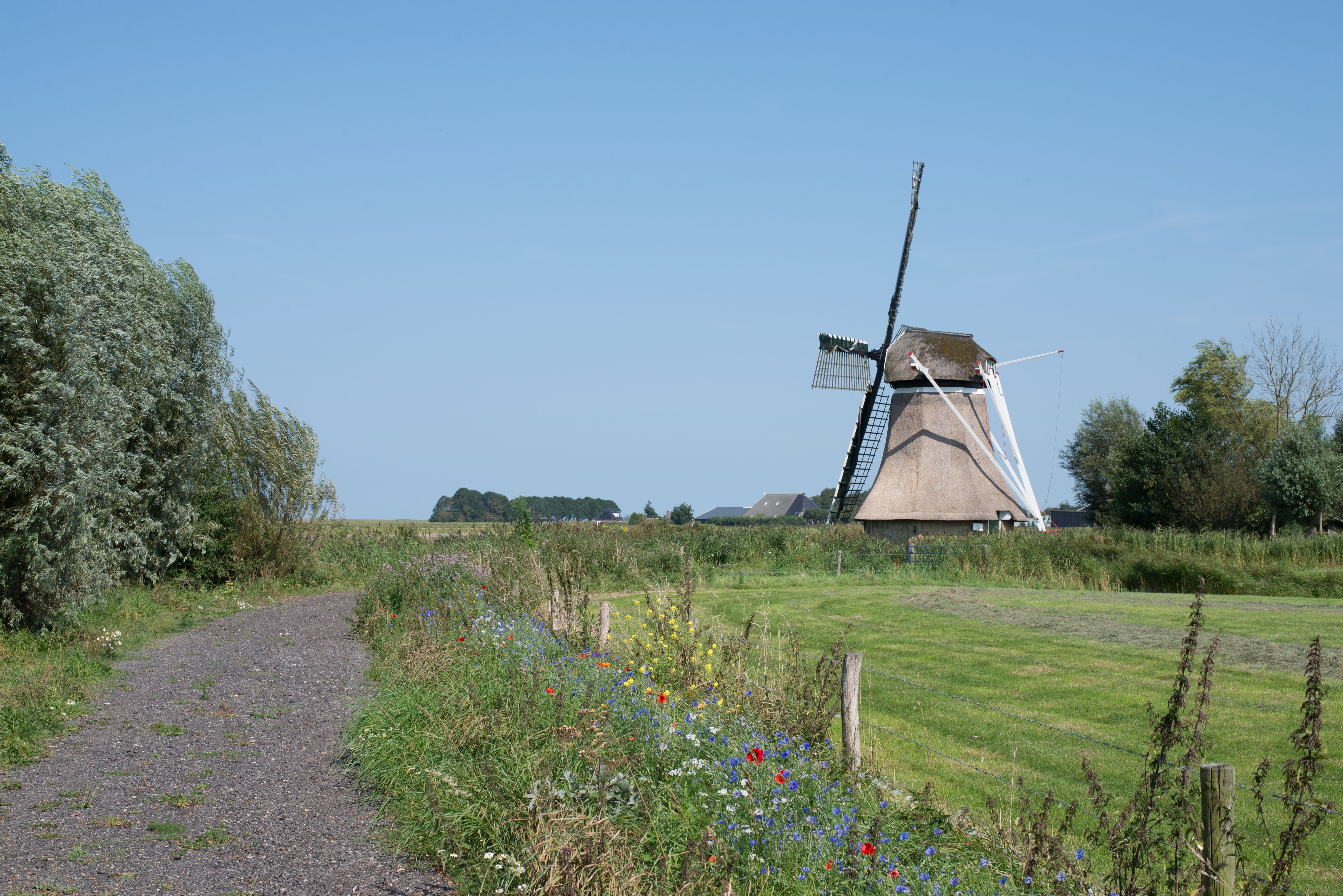Kollumerpomp