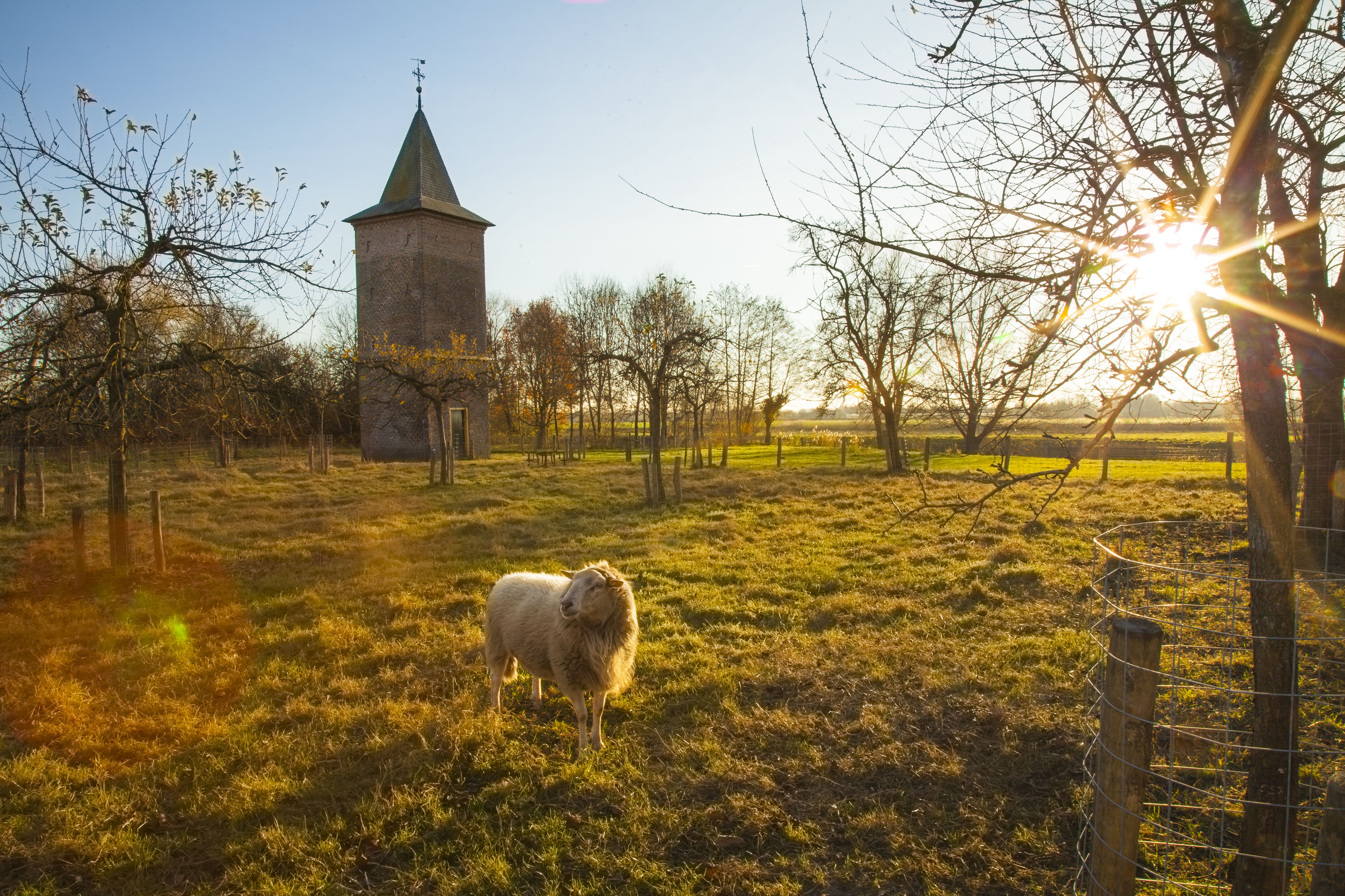 Monument Liempde