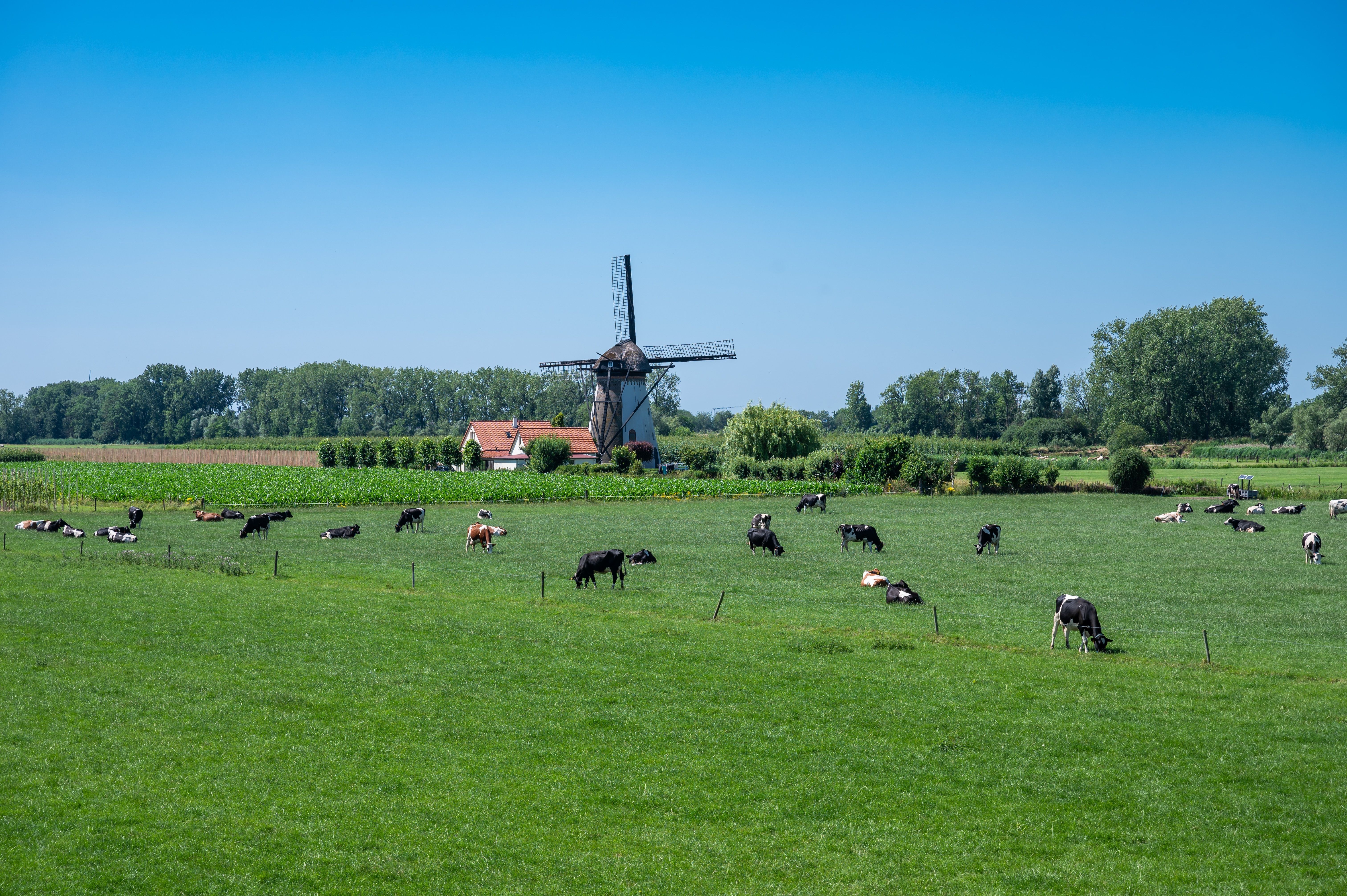 Monument Lienden