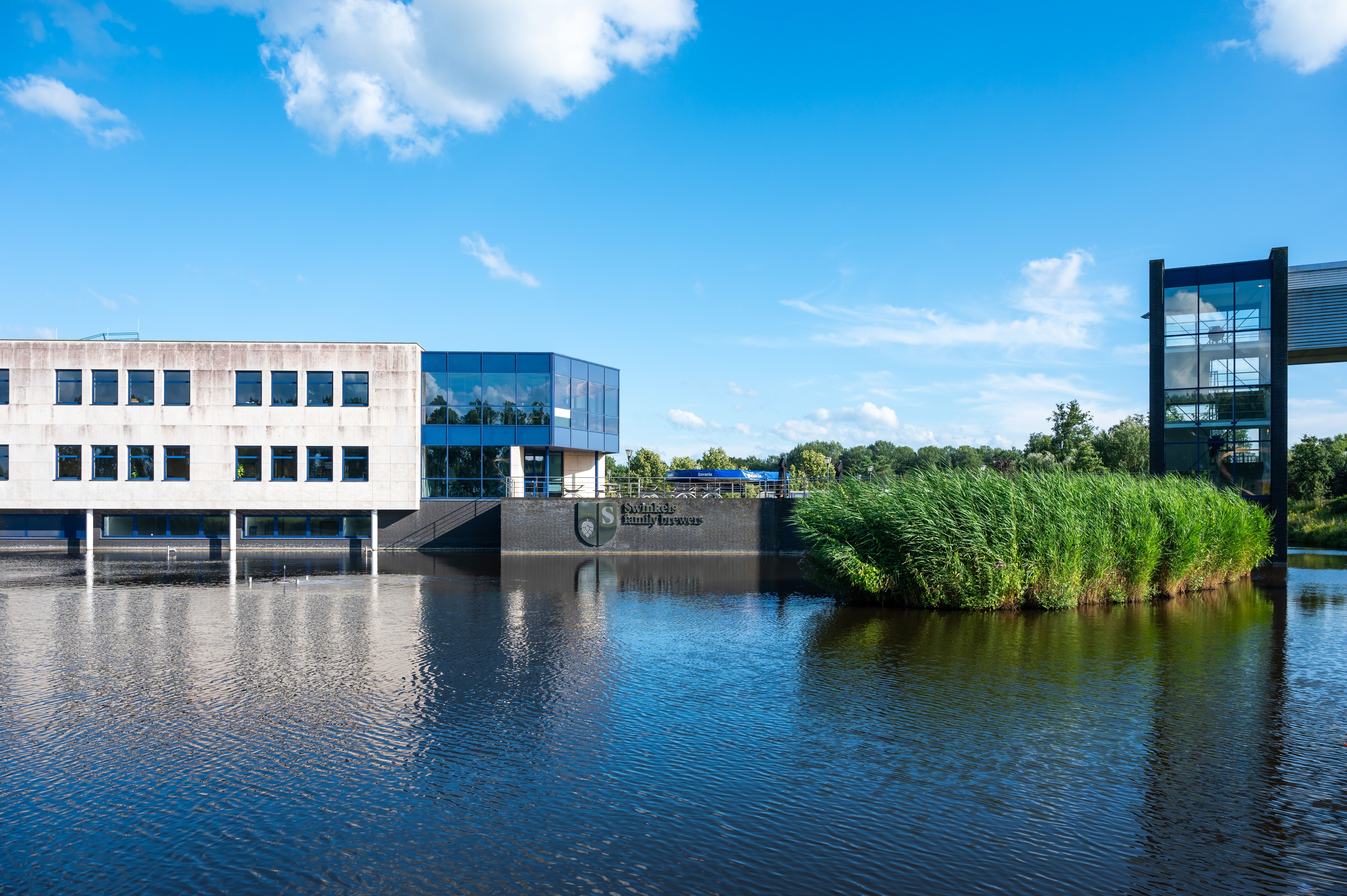 Lieshout