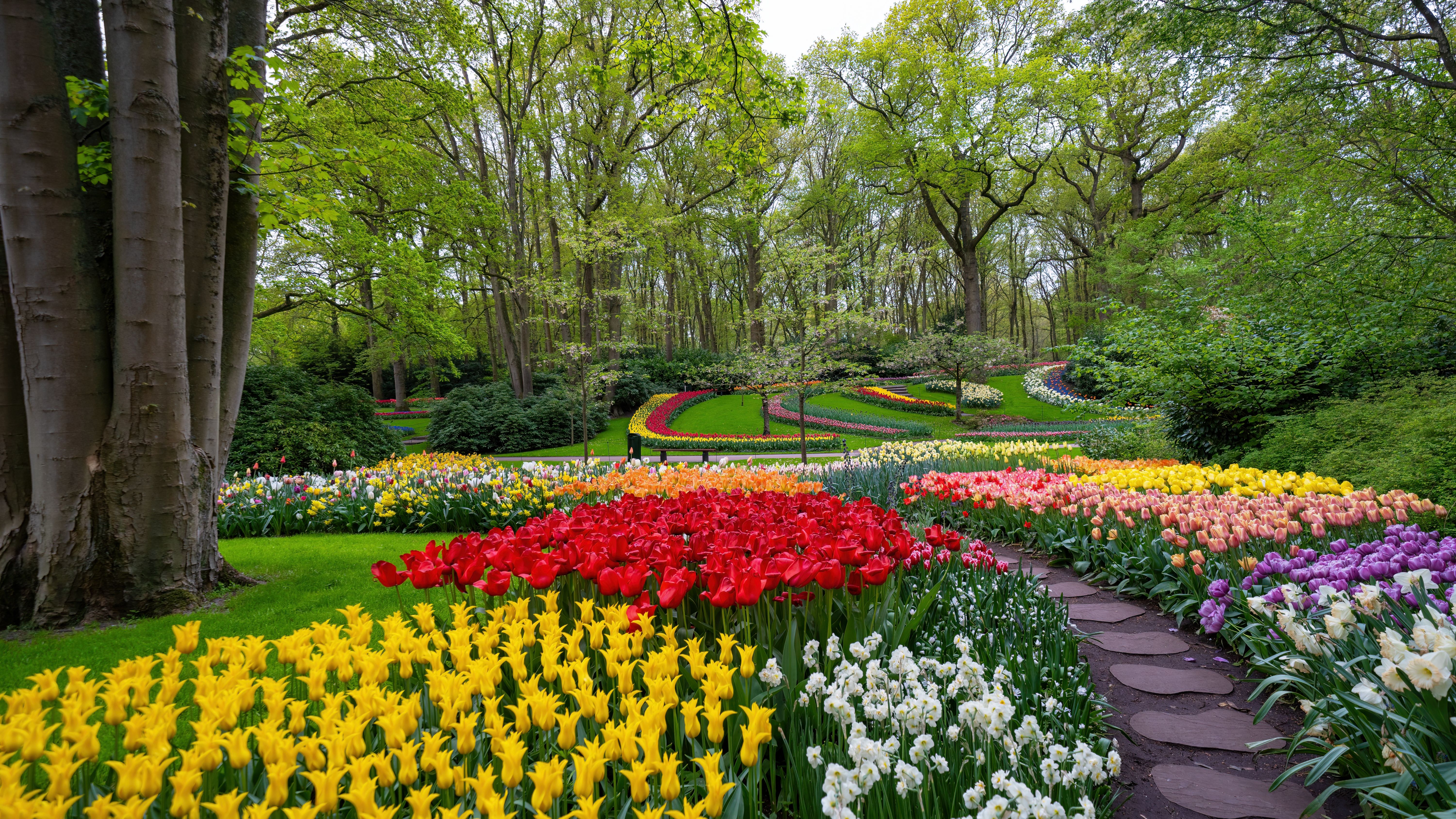 Monument Lisse