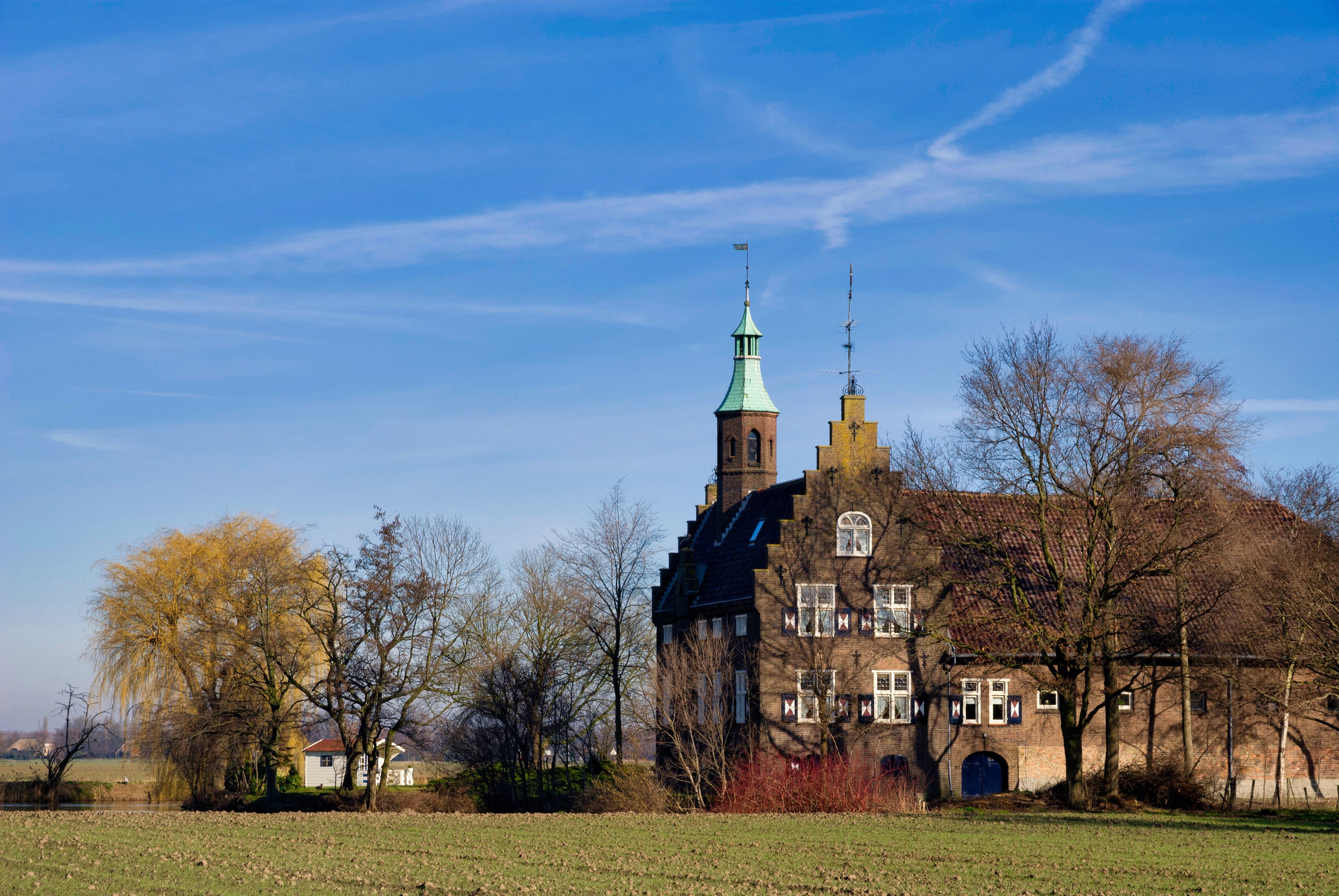 Meeuwen