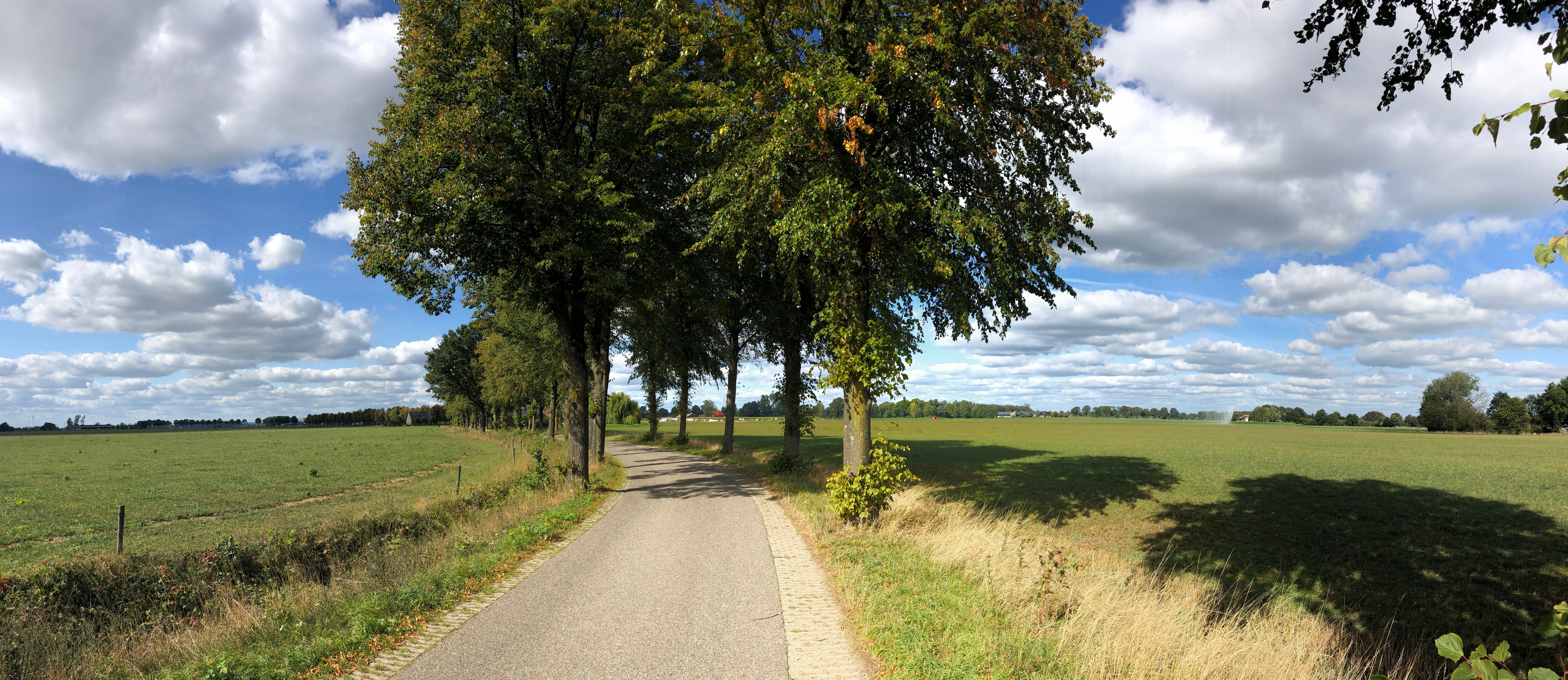 Megchelen