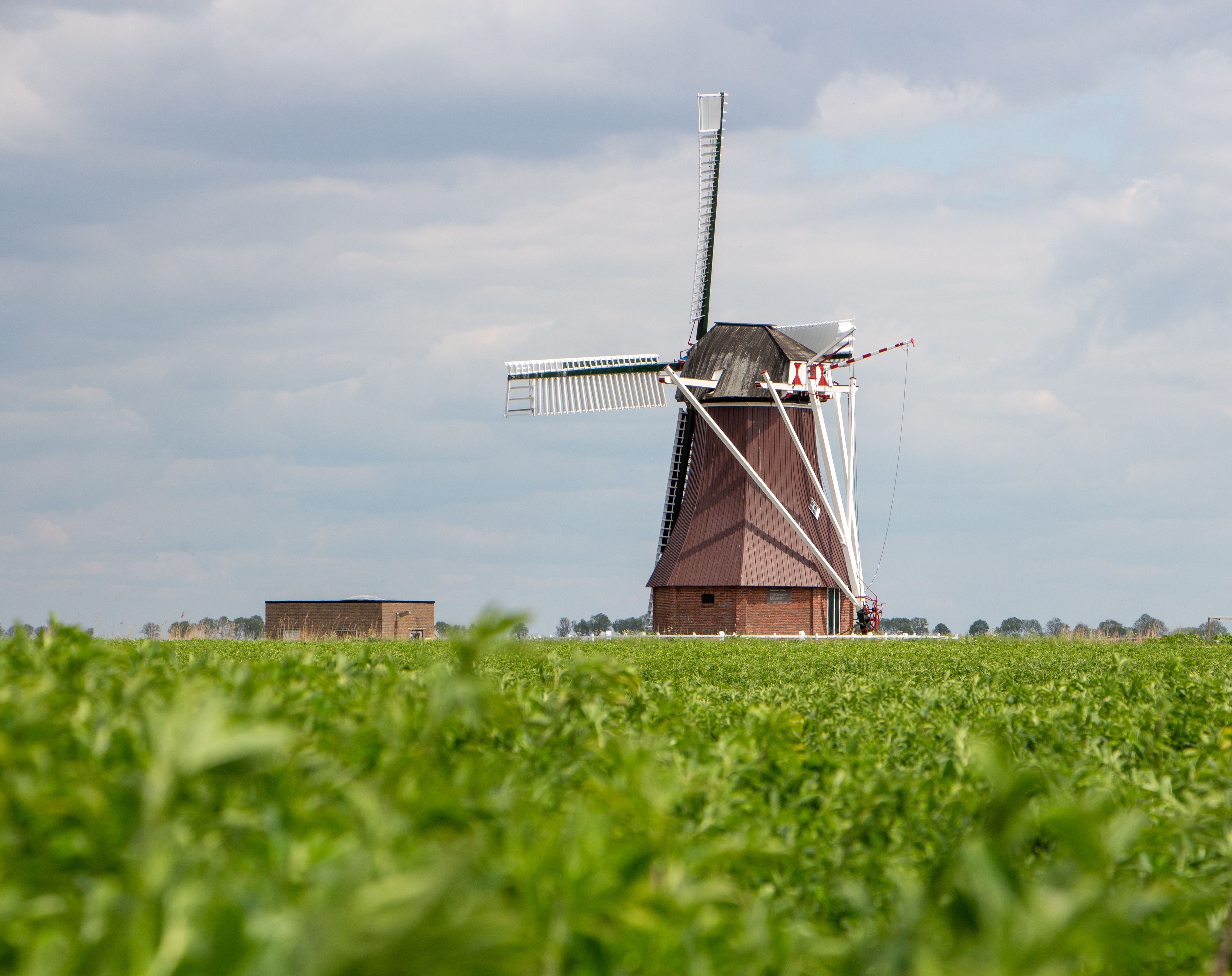Nieuw Scheemda