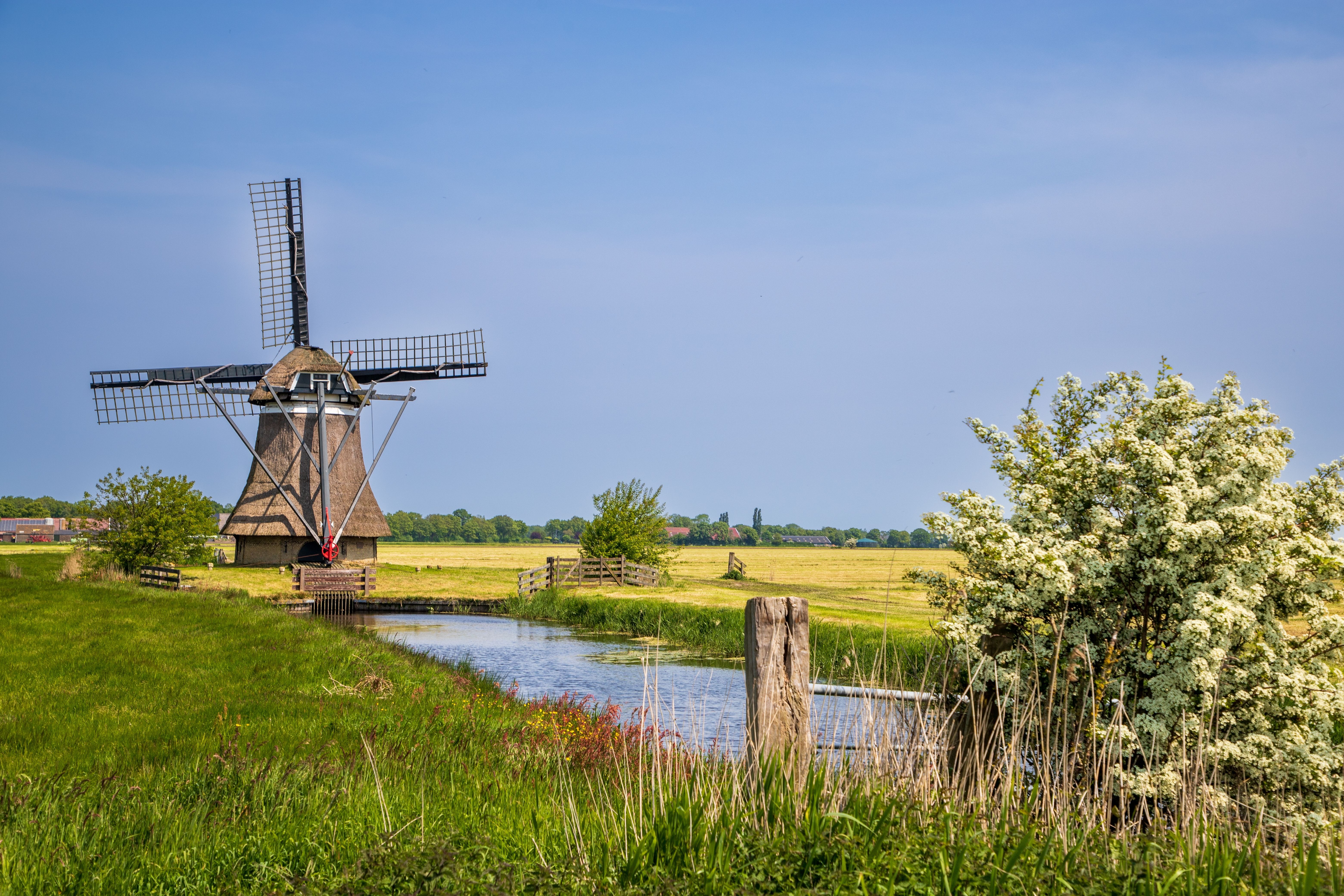 Nijemirdum