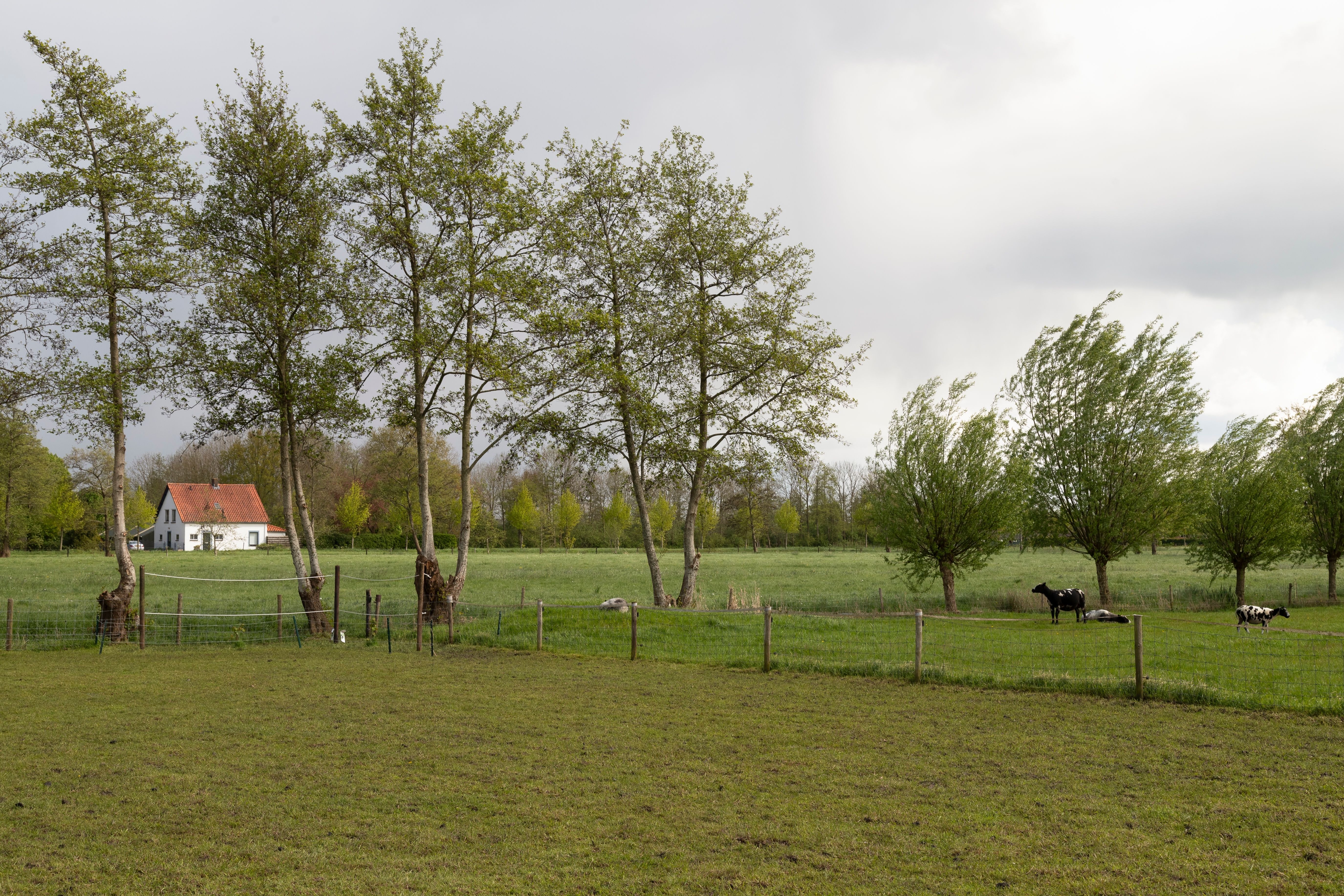 Nijkerkerveen