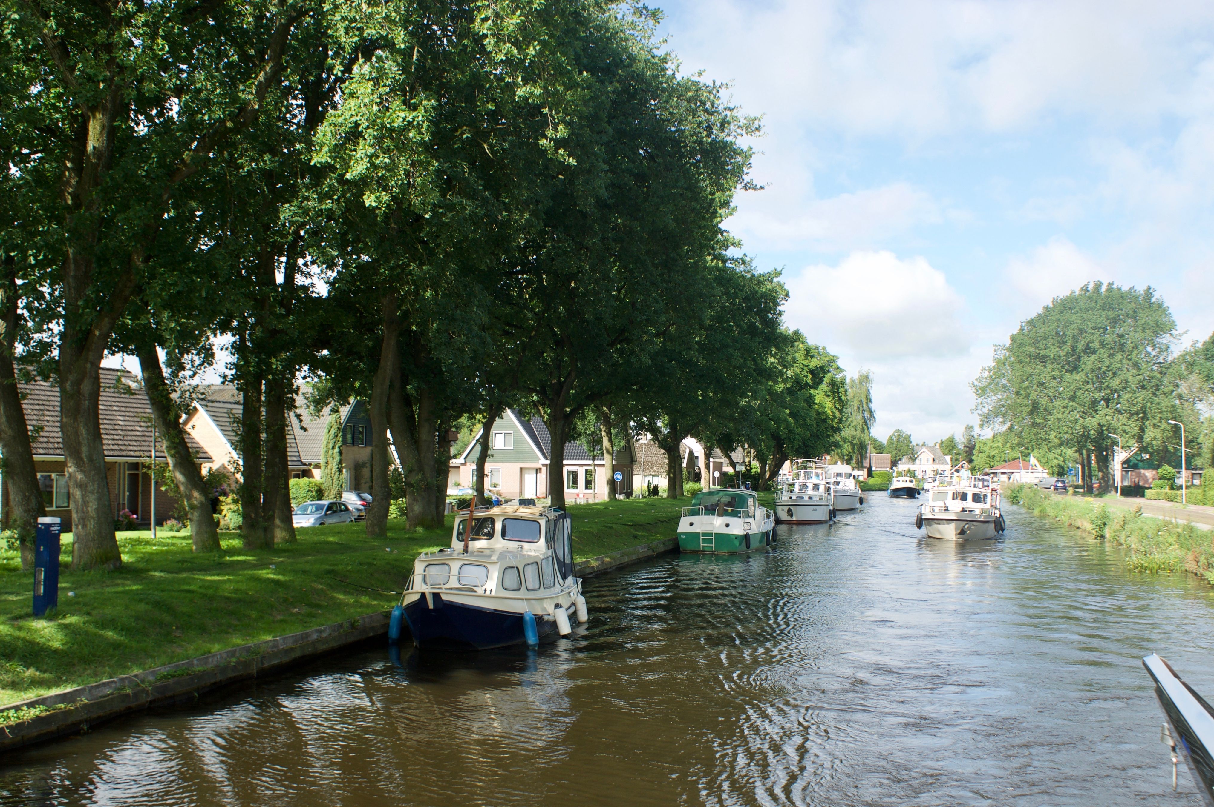 Noordscheschut