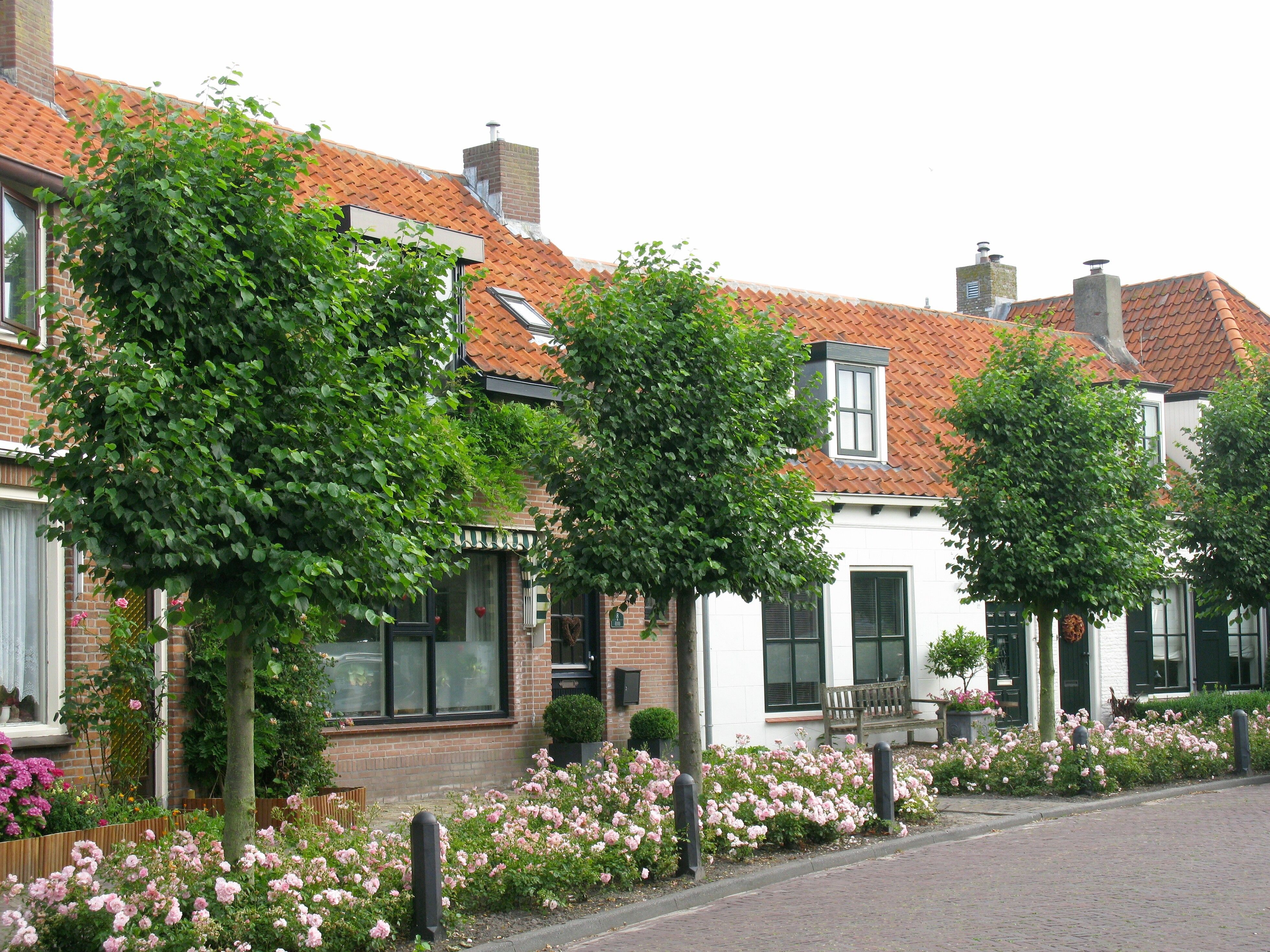 Noordwelle