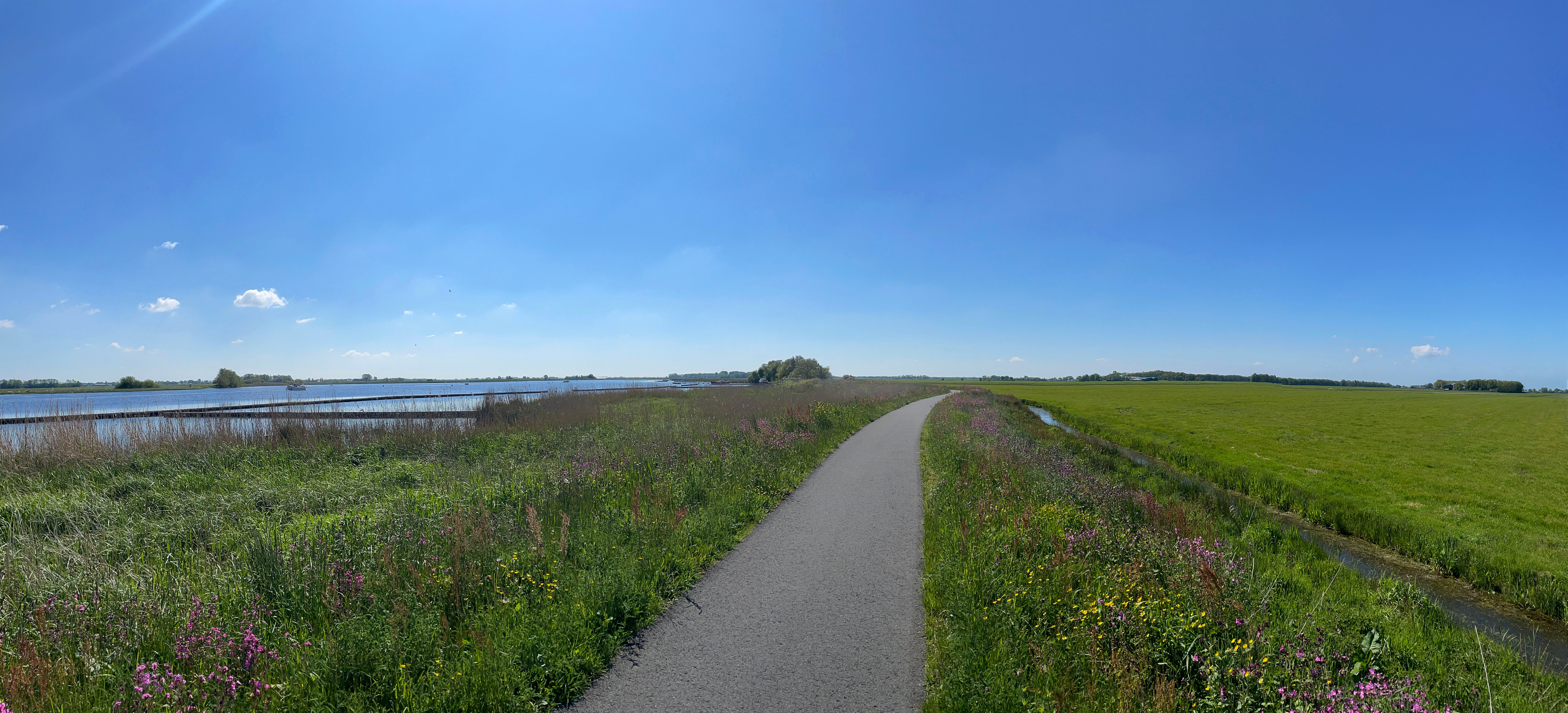 Oldetrijne