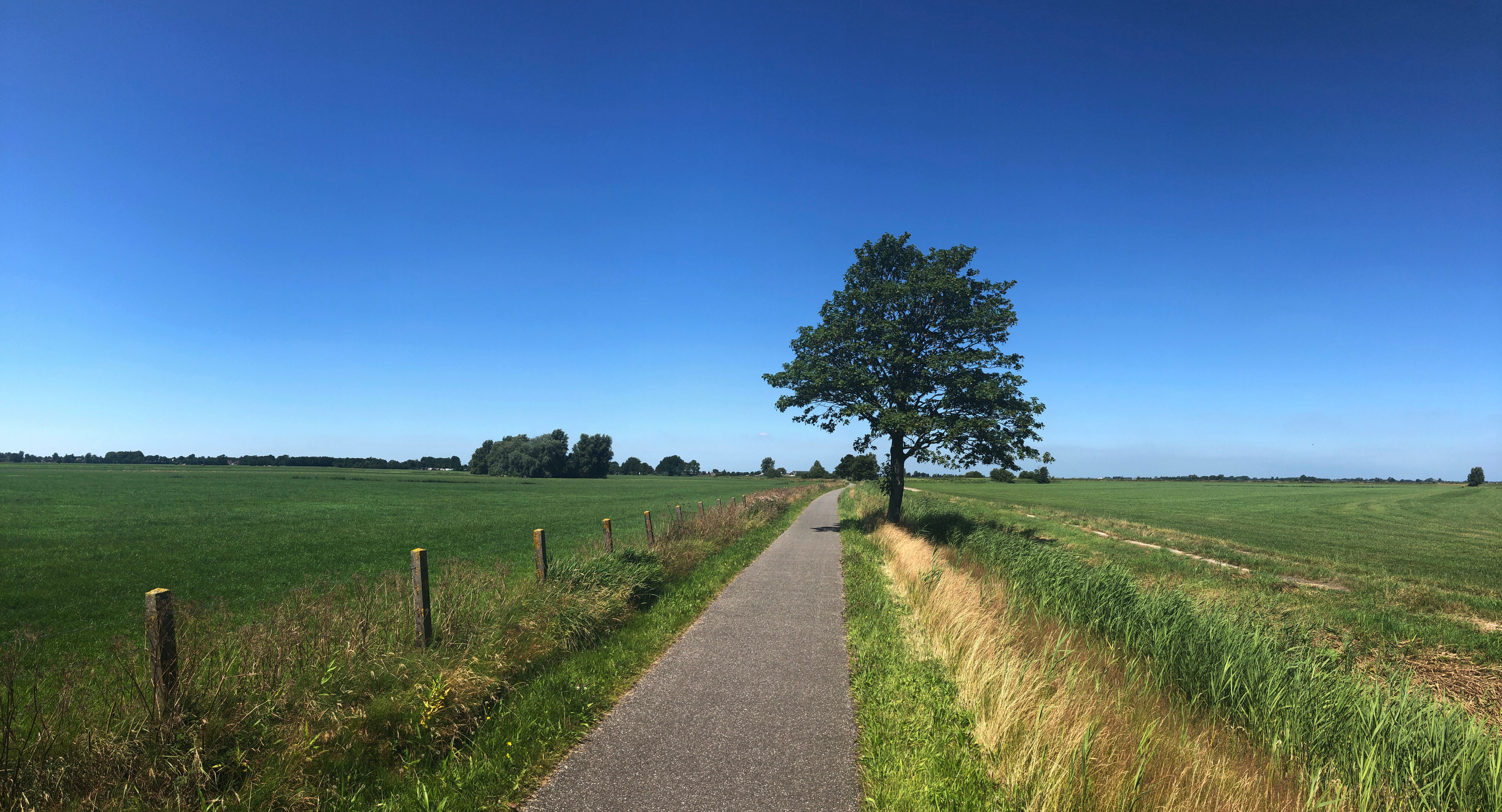 Oudwoude