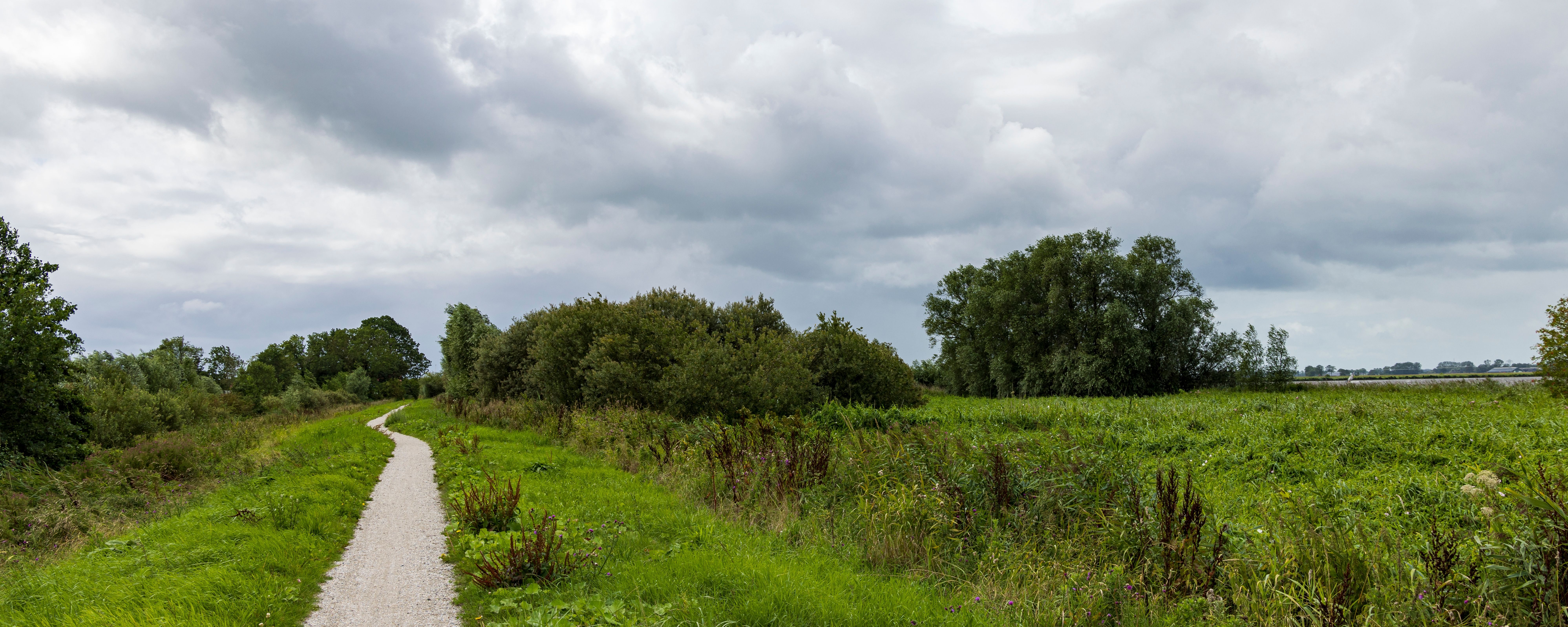 Overschild