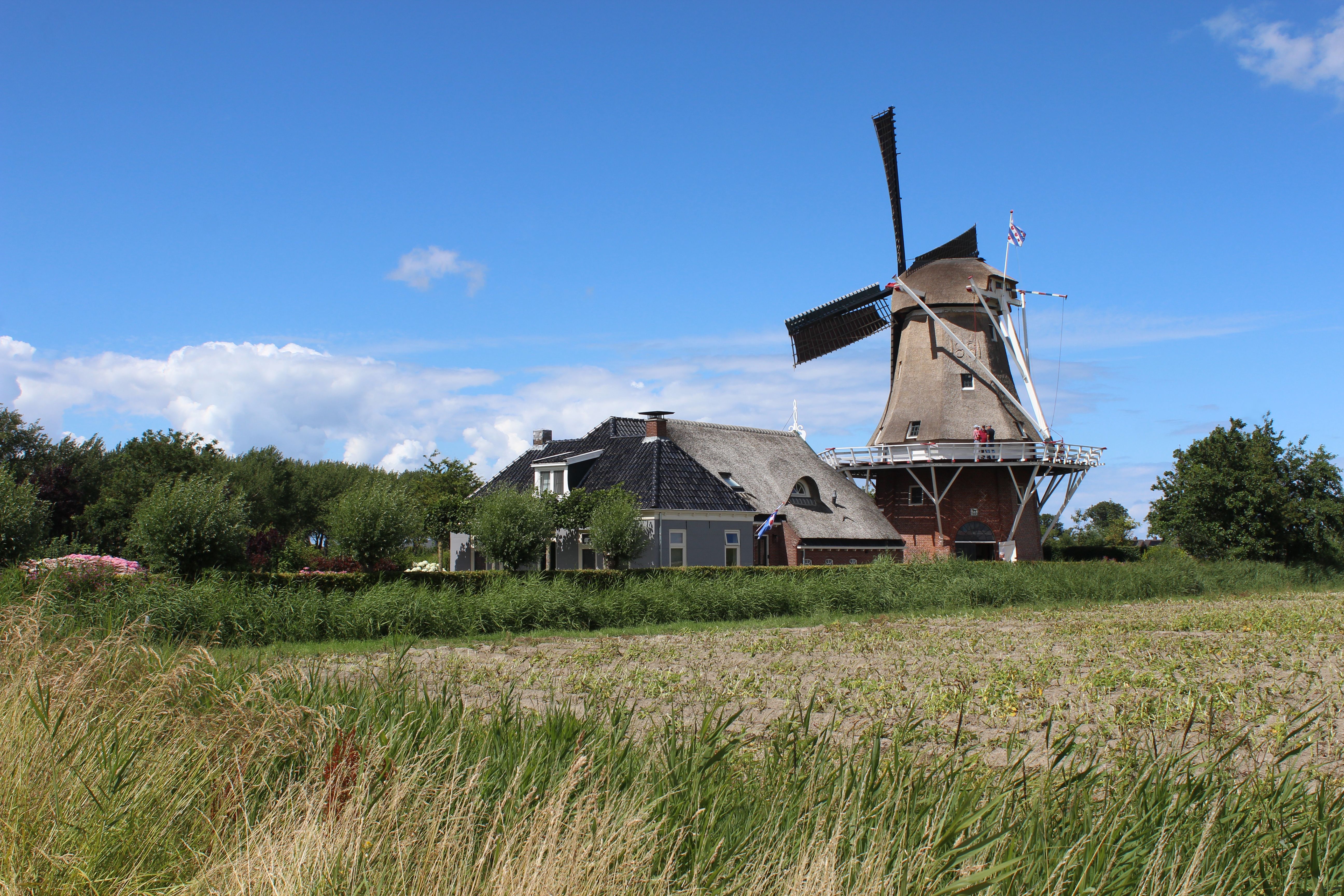 Paesens