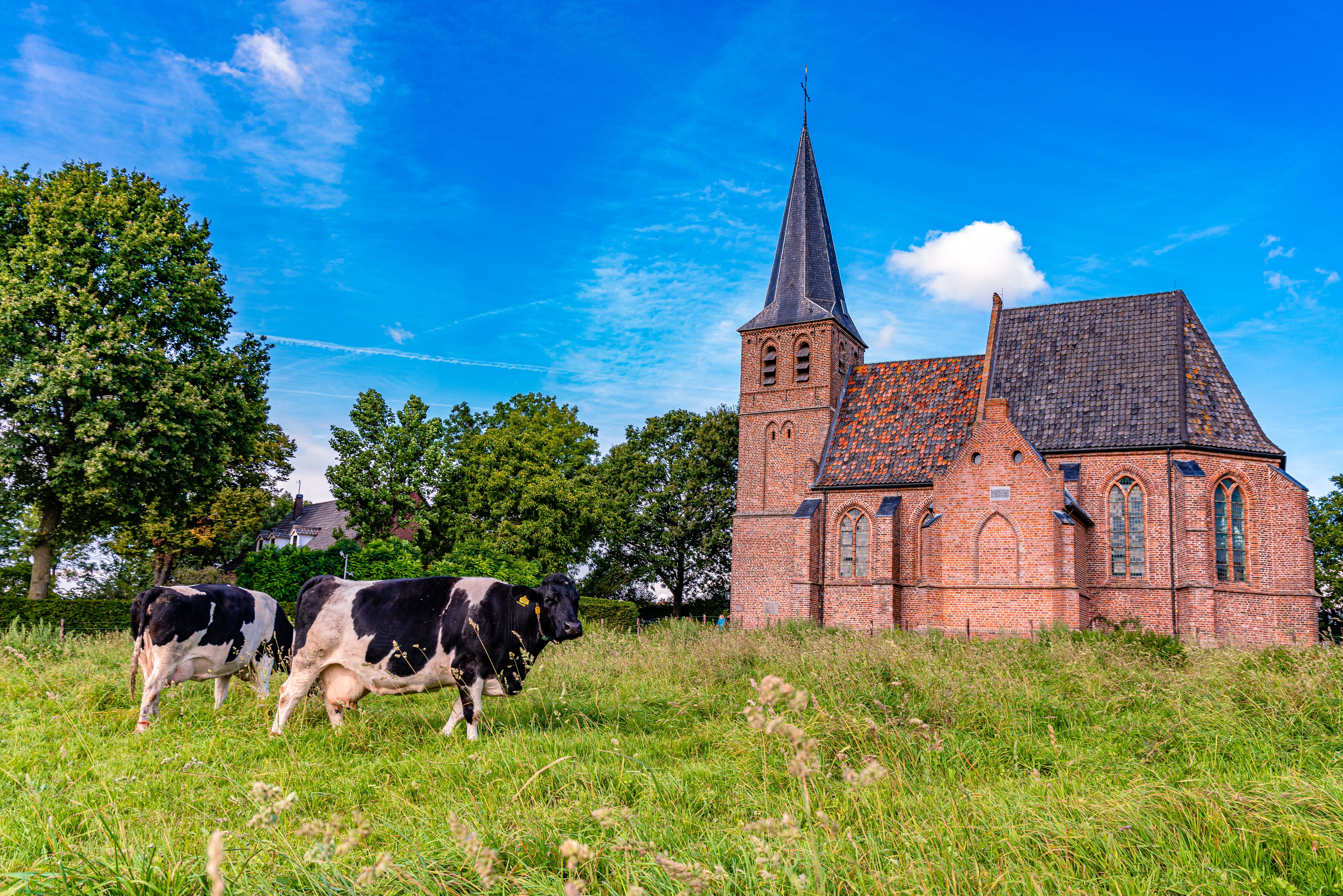 Persingen