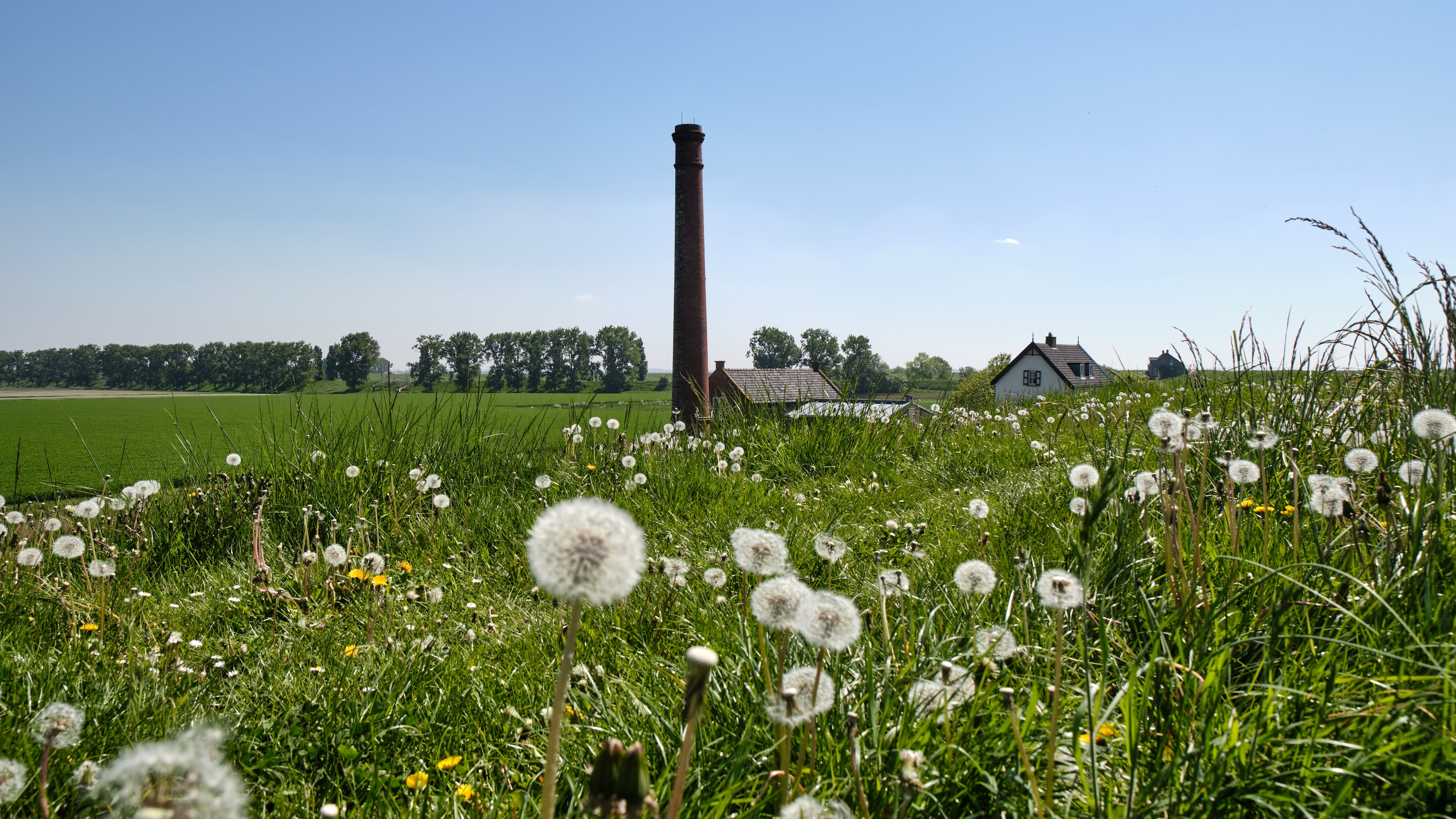 Poortvliet