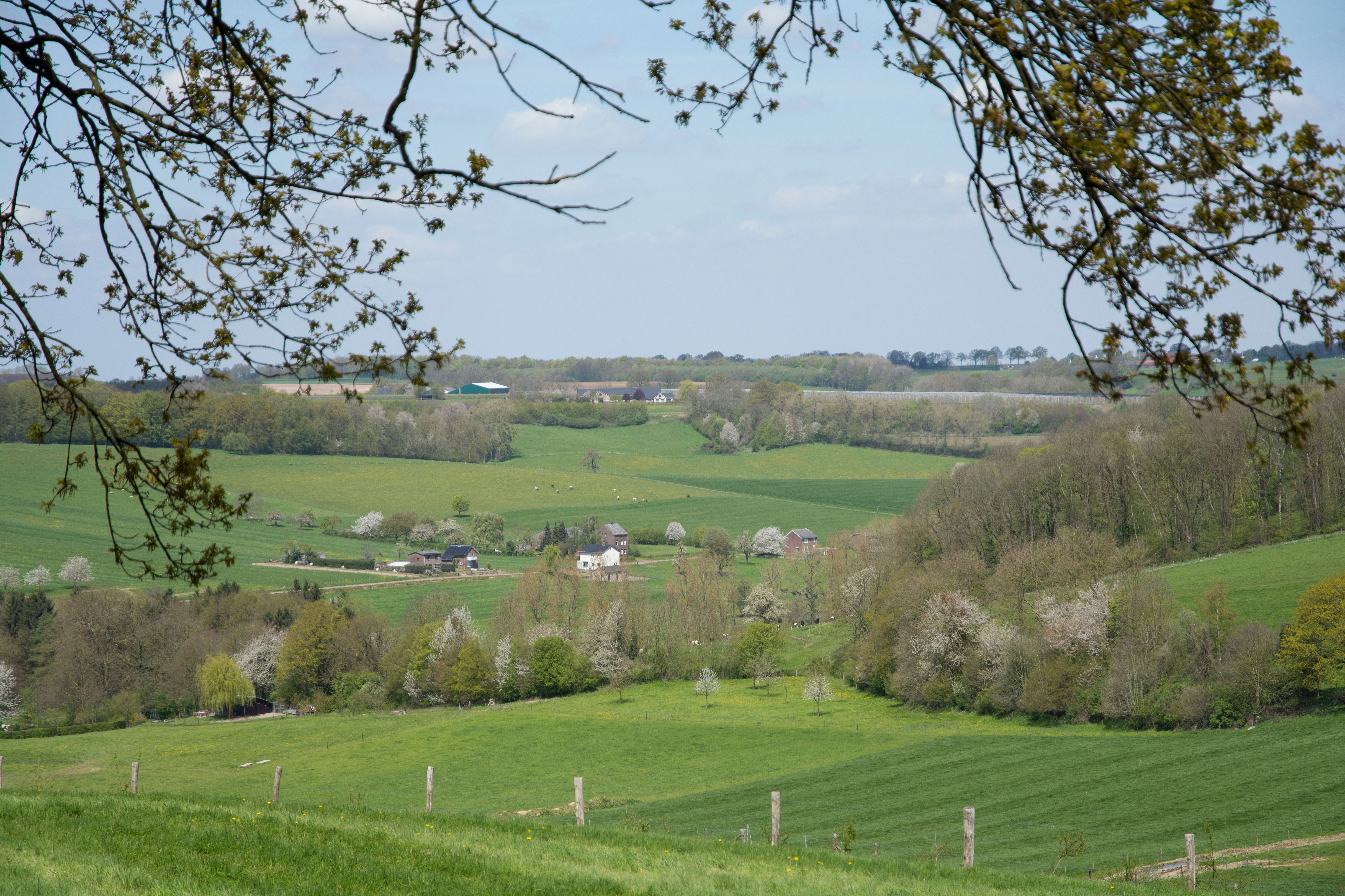 Reijmerstok