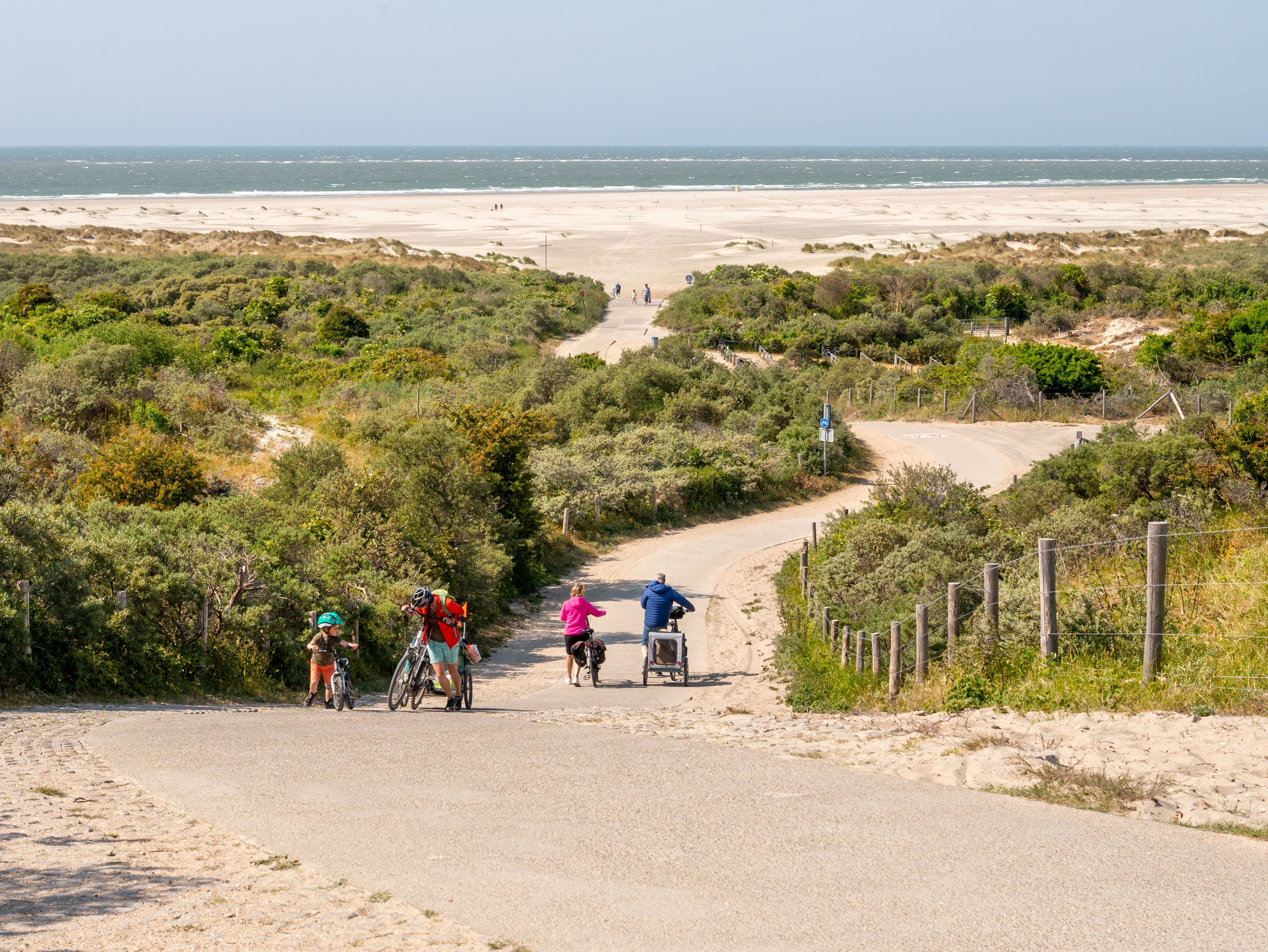 Renesse