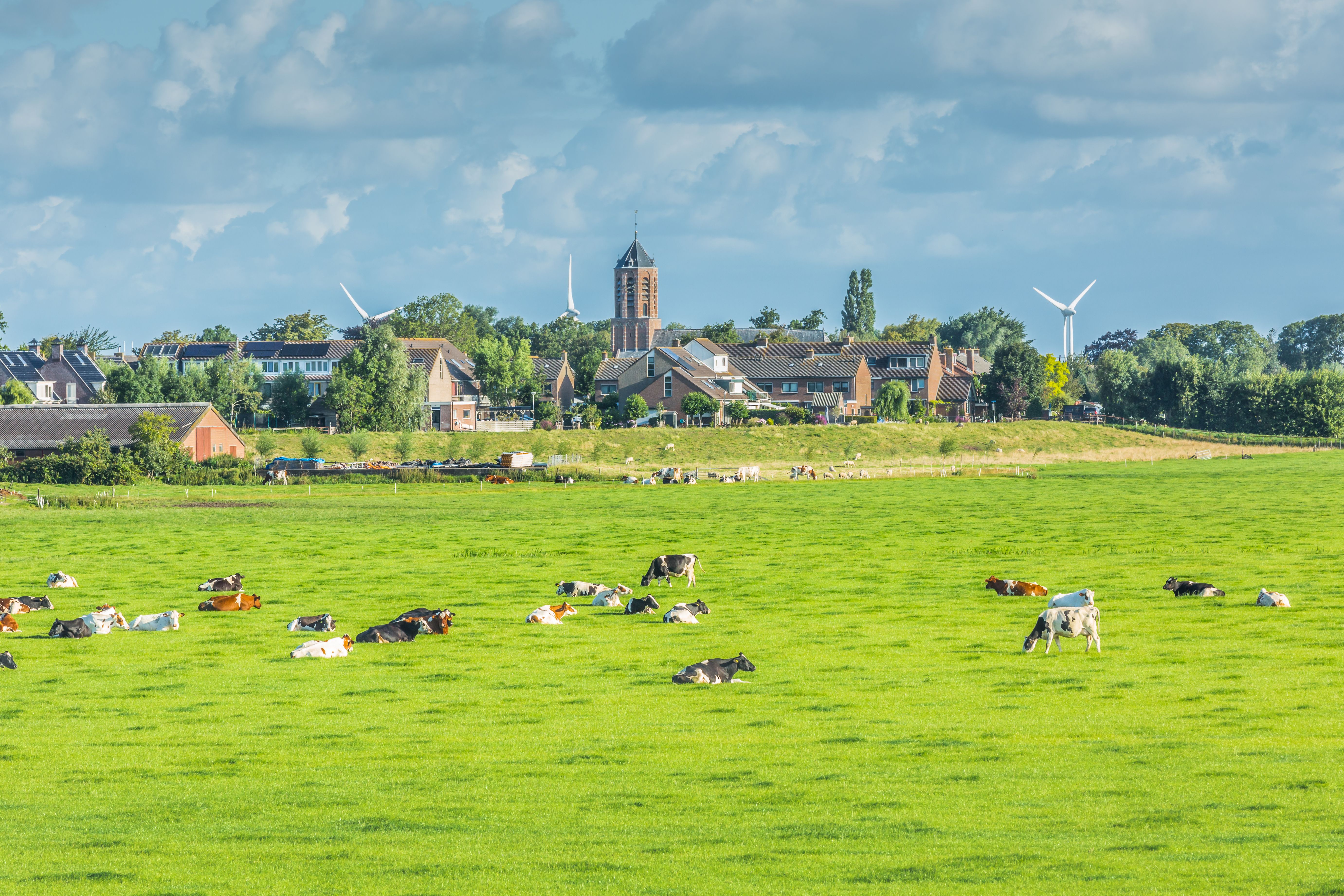 Rijnsaterwoude