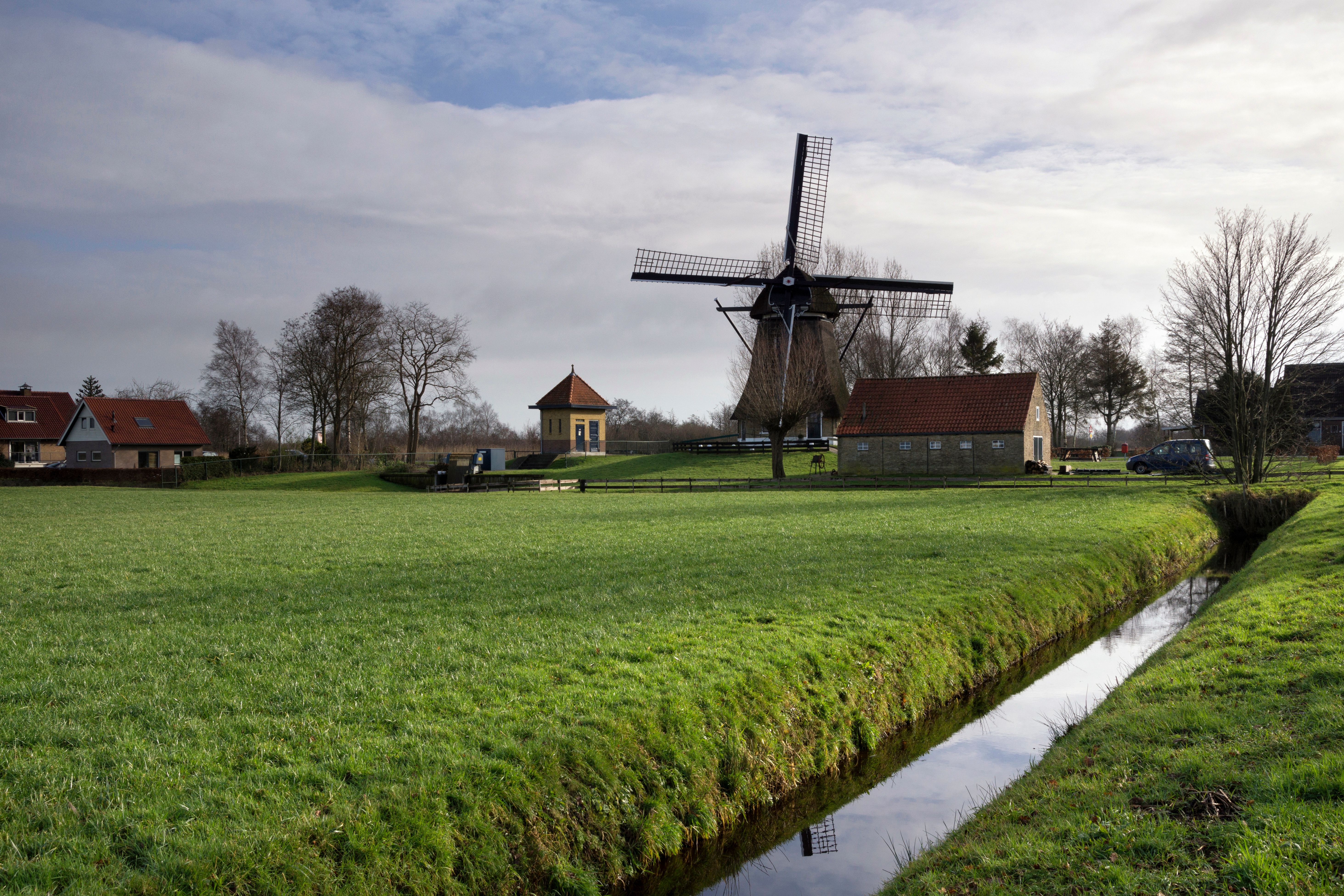 Rotsterhaule