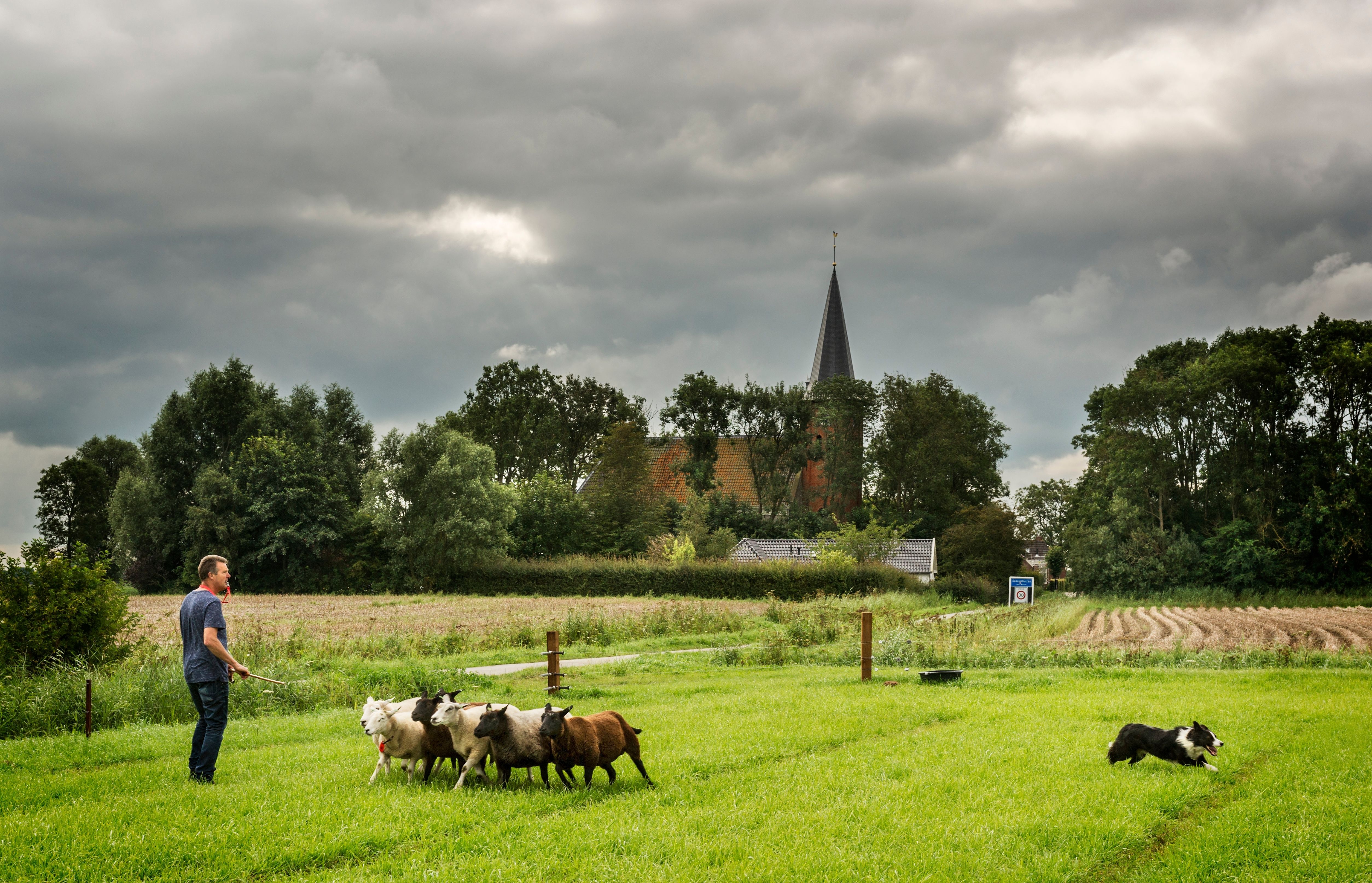 Saaxumhuizen