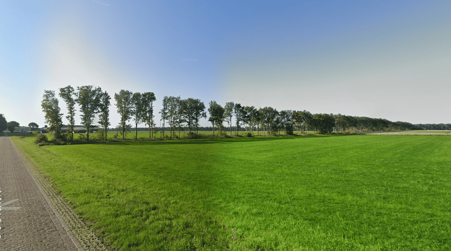 Bruntinge