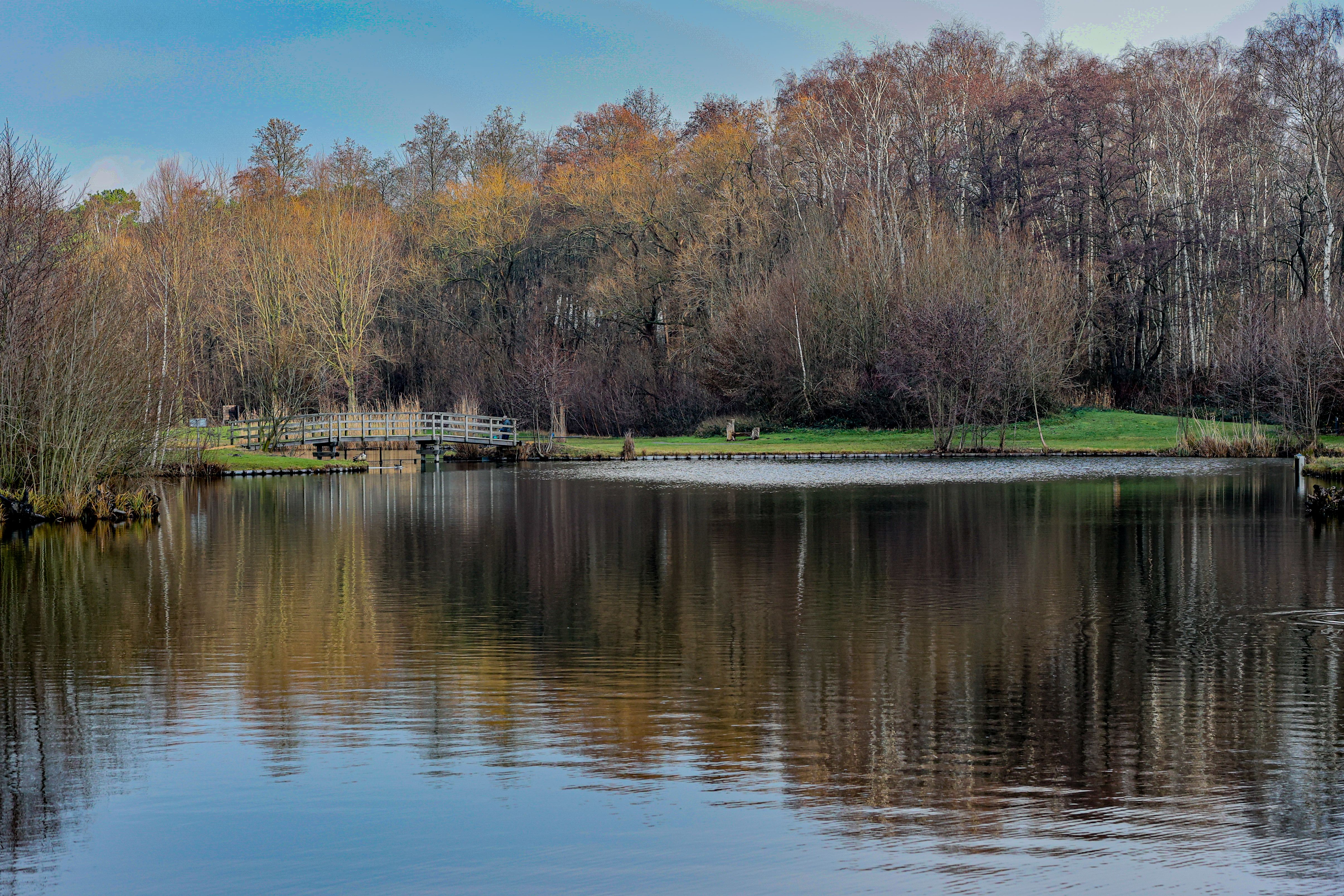 Schinveld