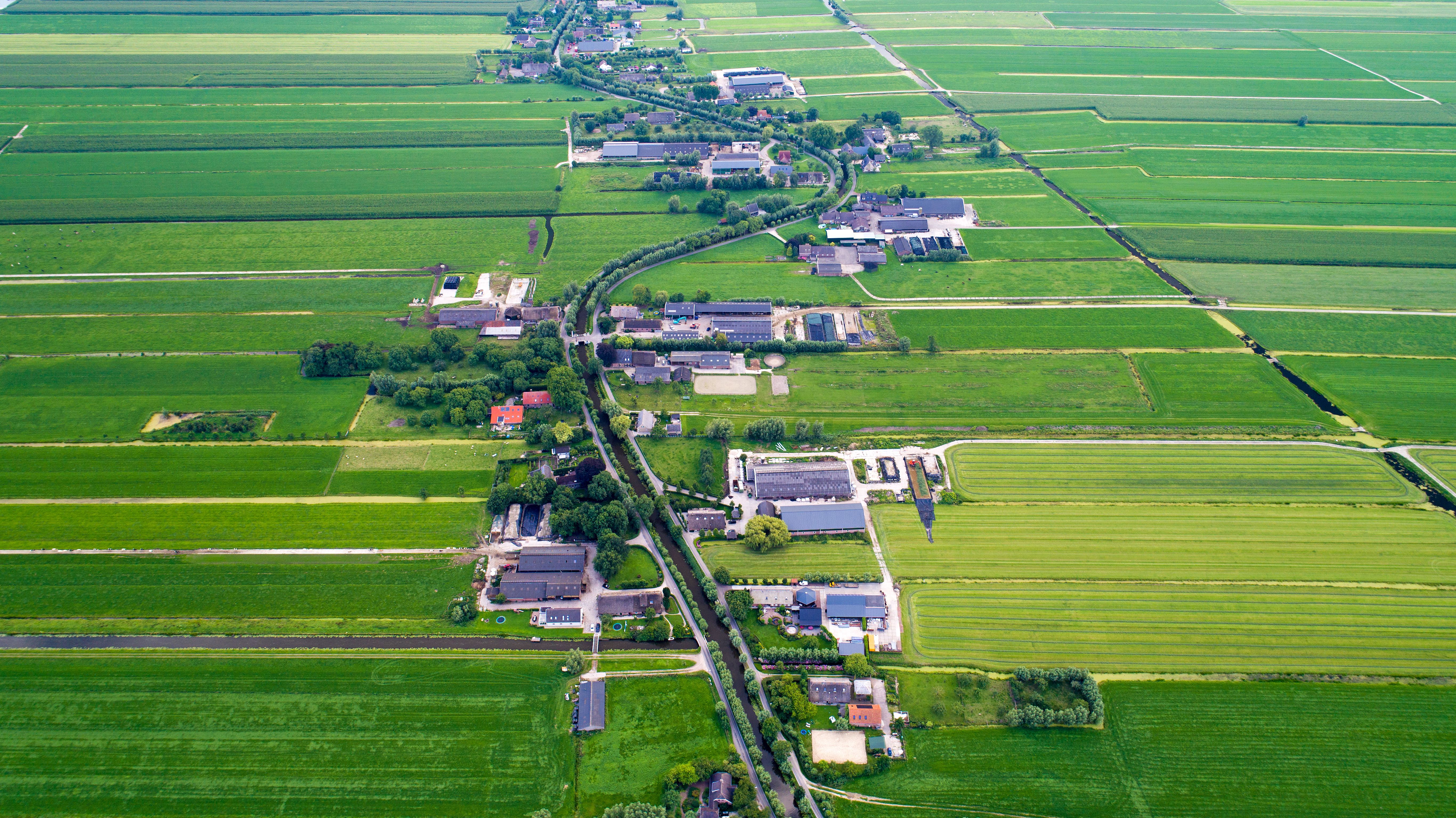 Snelrewaard