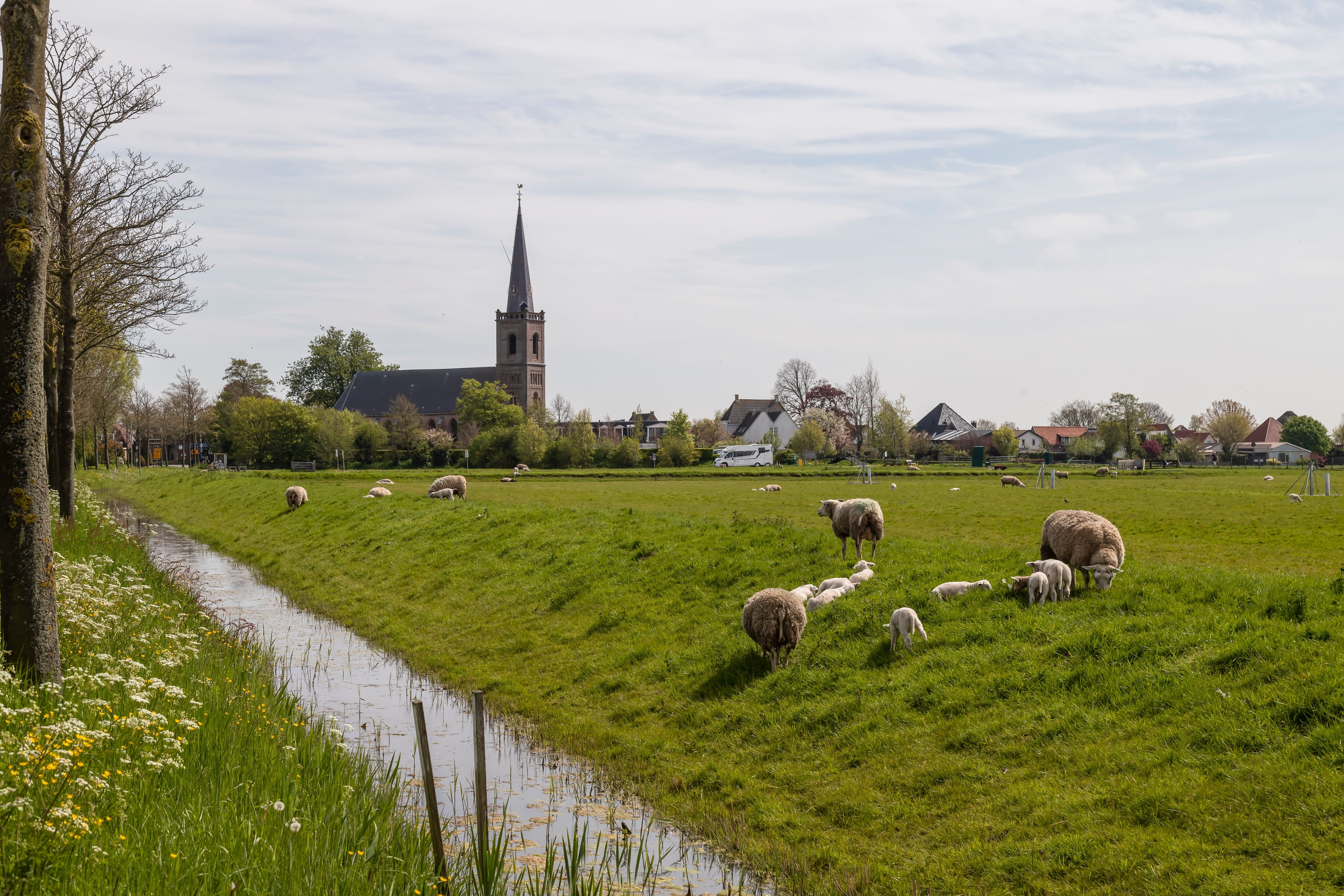 Spanbroek