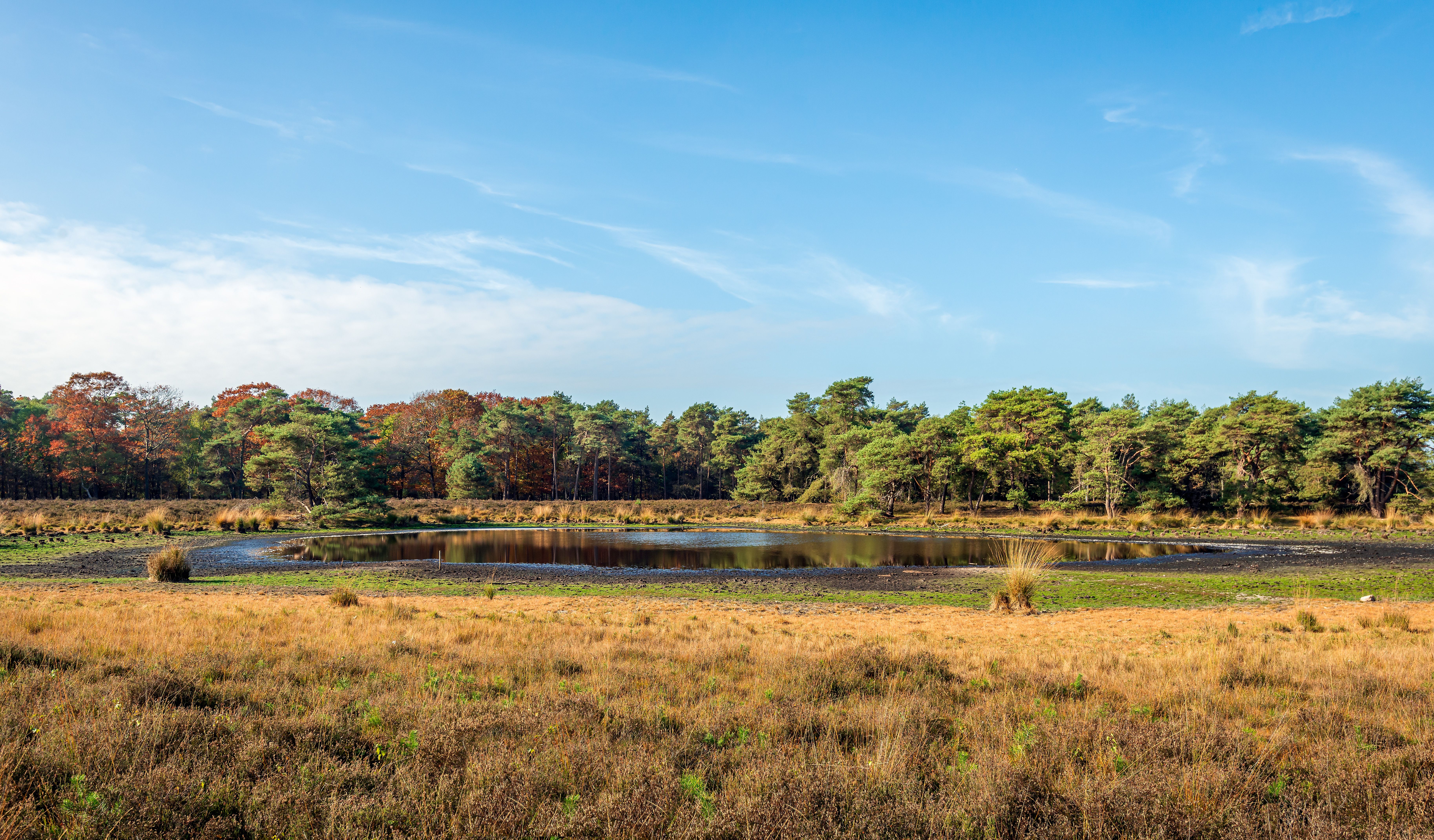 Strijbeek
