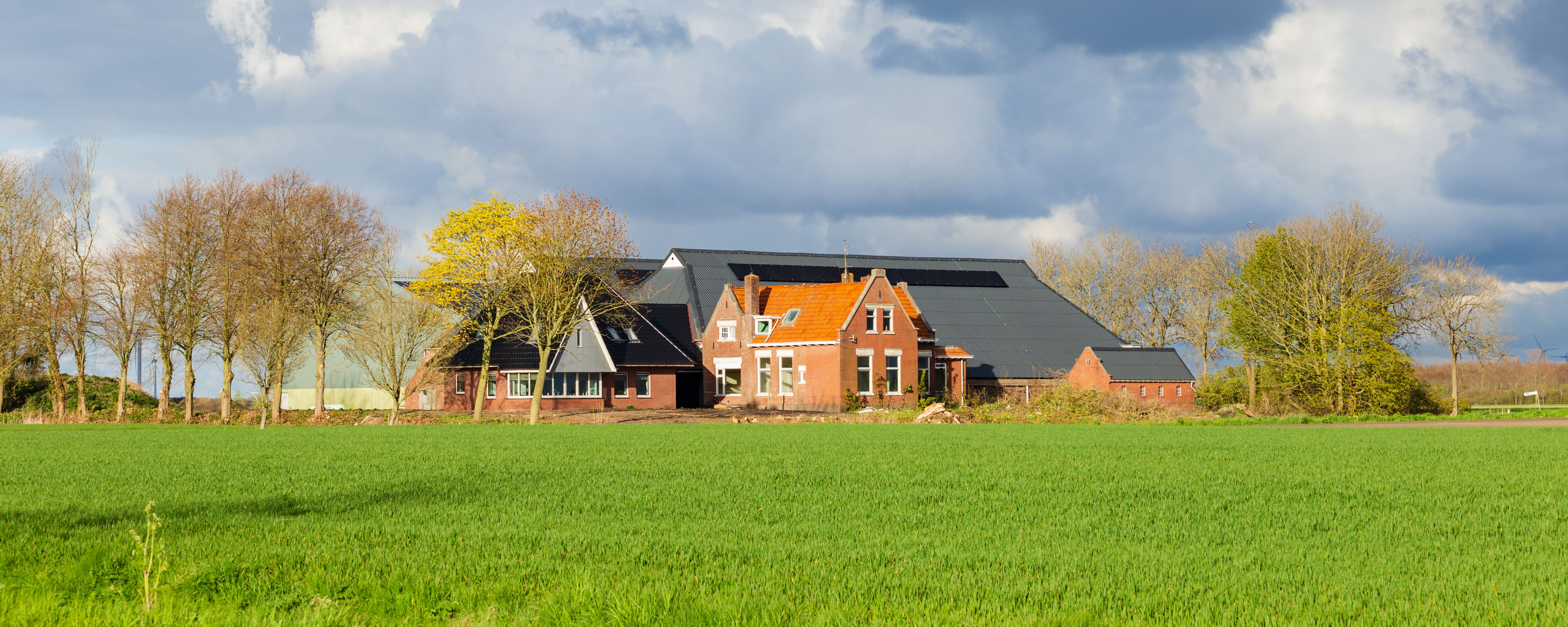 Uithuizermeeden
