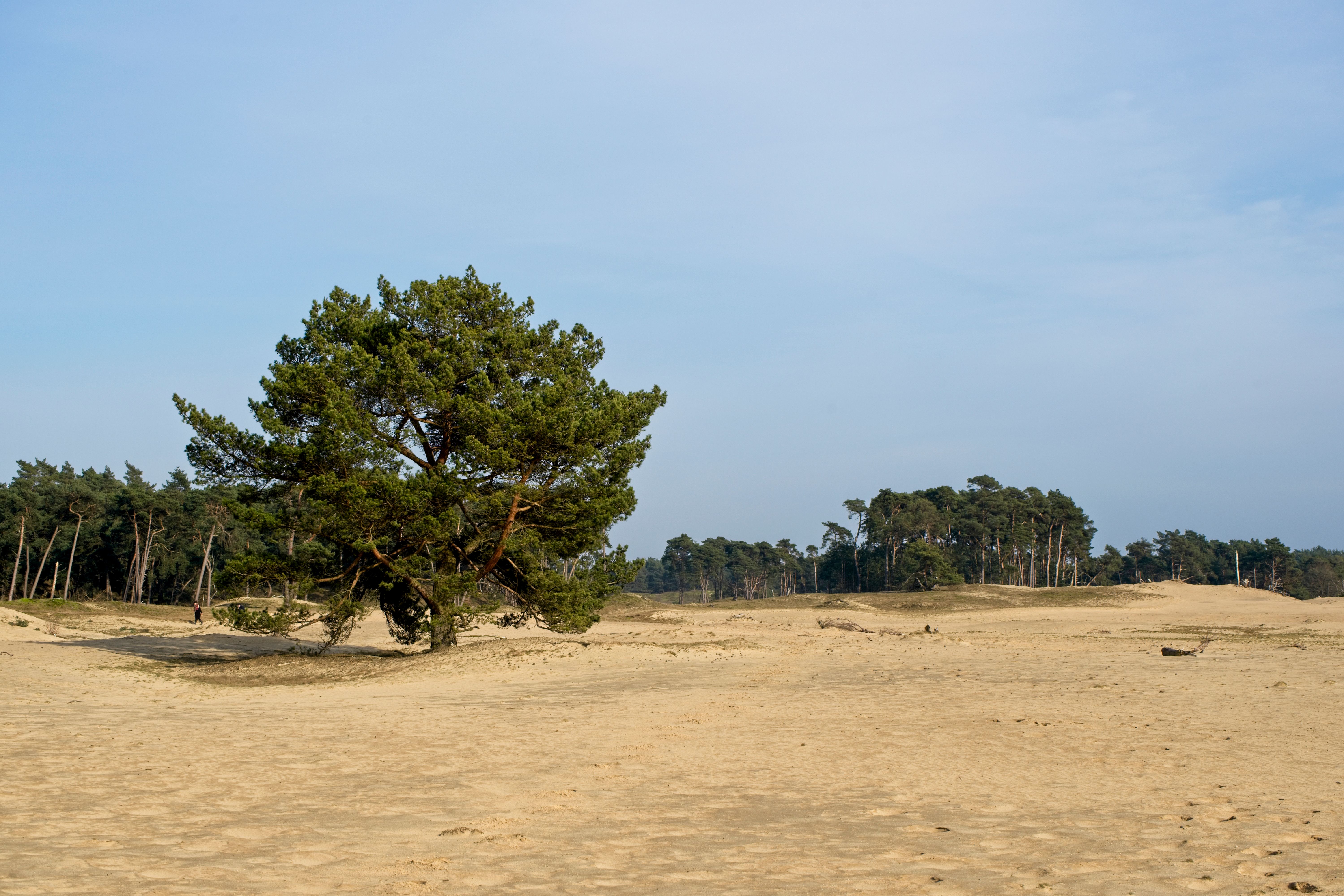 Monument Wekerom