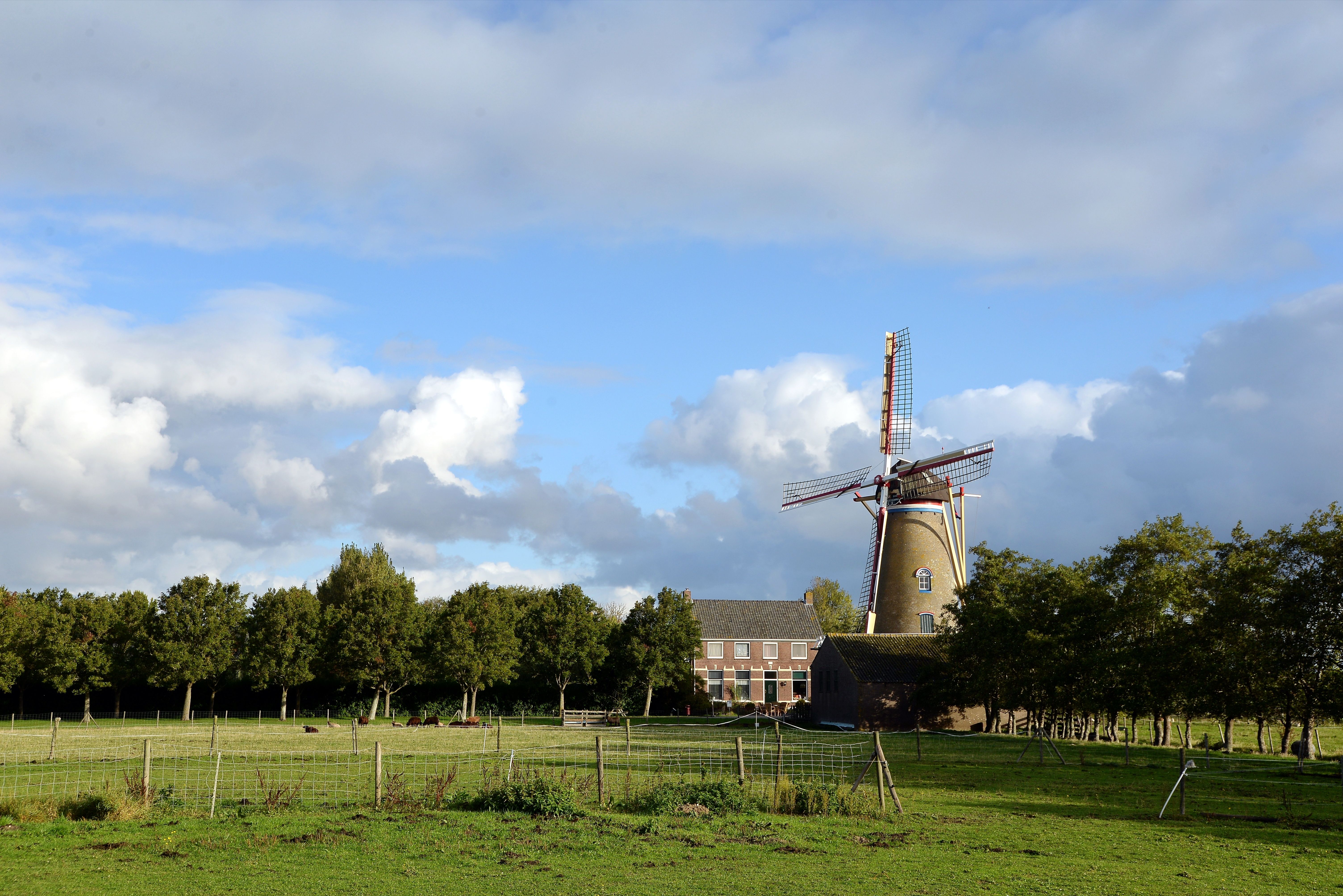 Wissenkerke