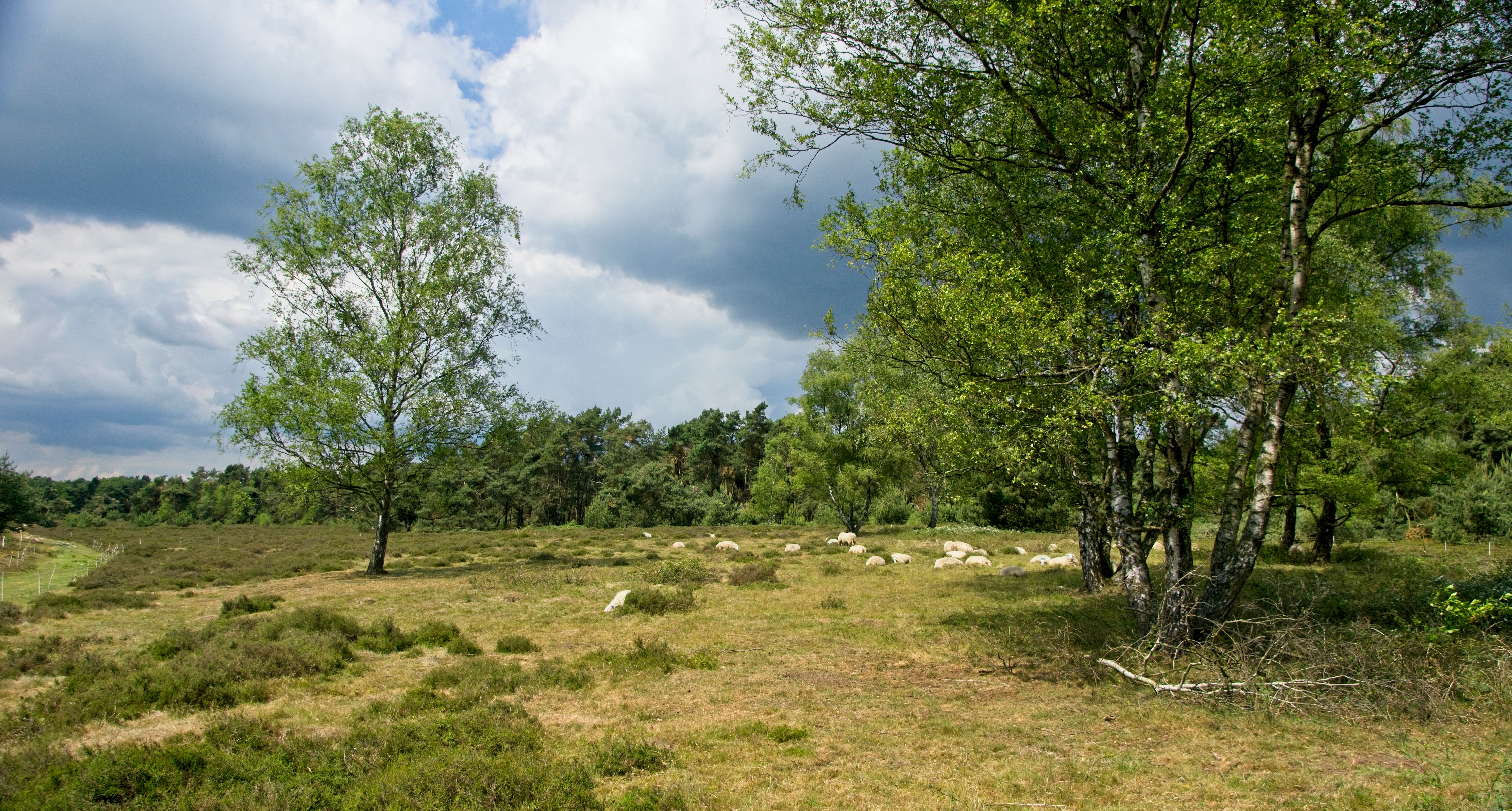 Monument Wolfheze