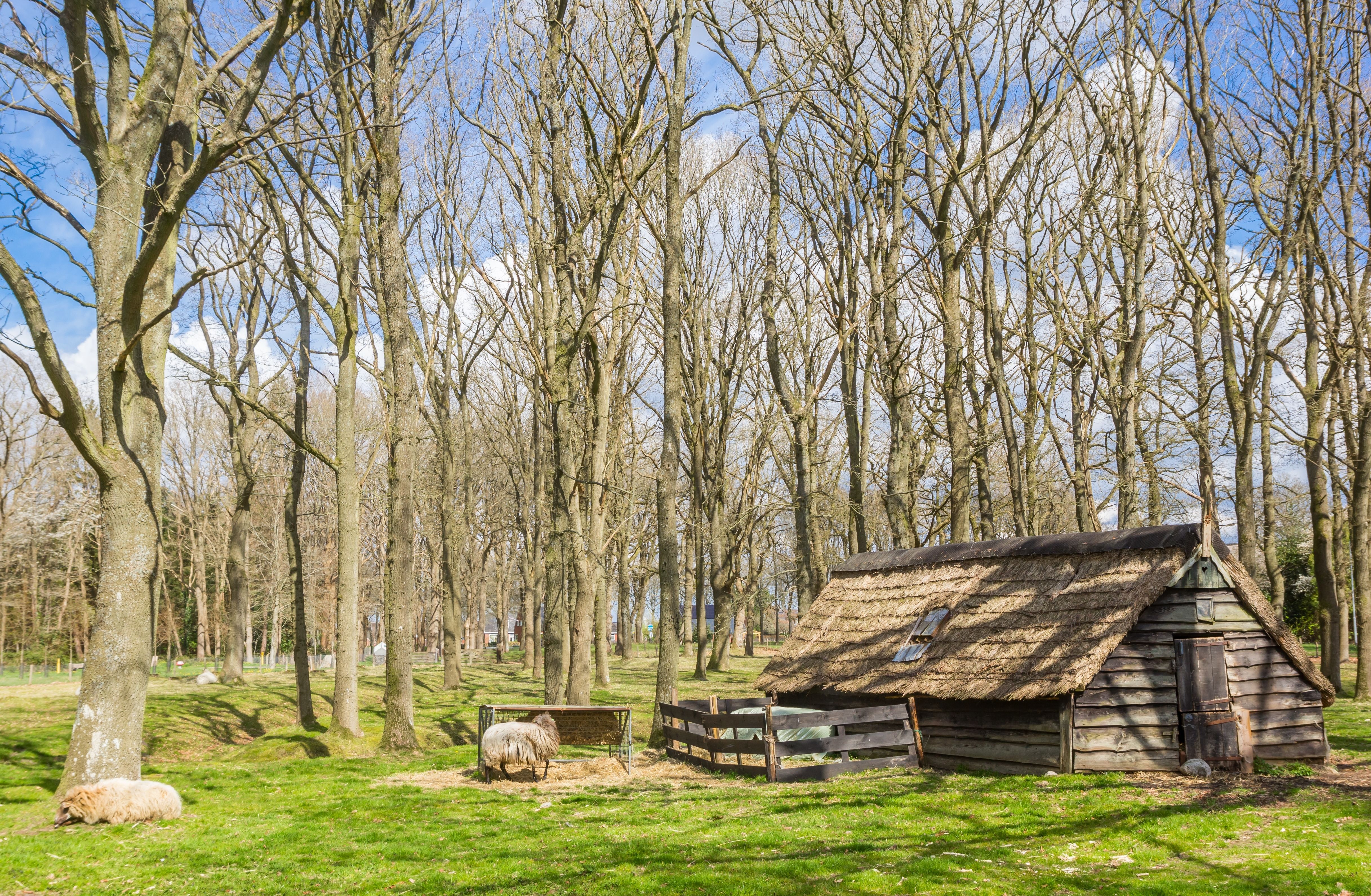 Zuidvelde