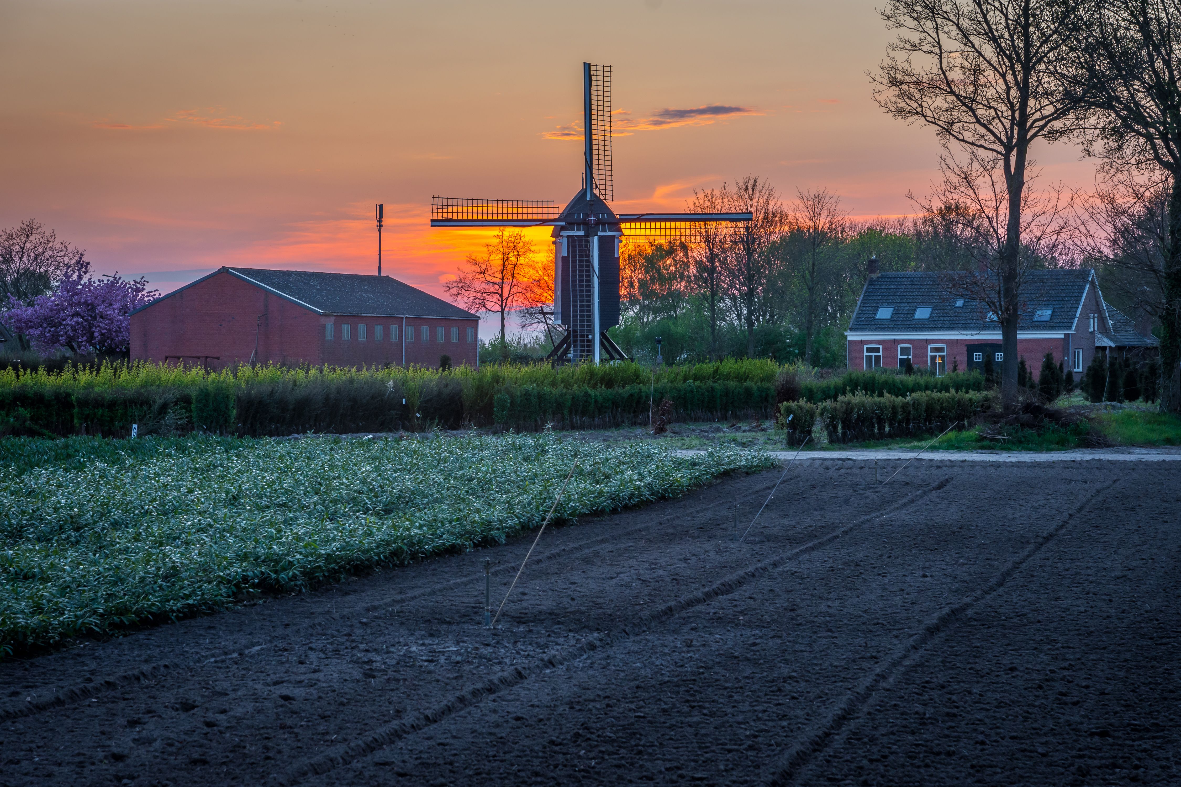 Zundert