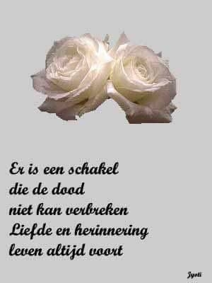 Theo van der Els