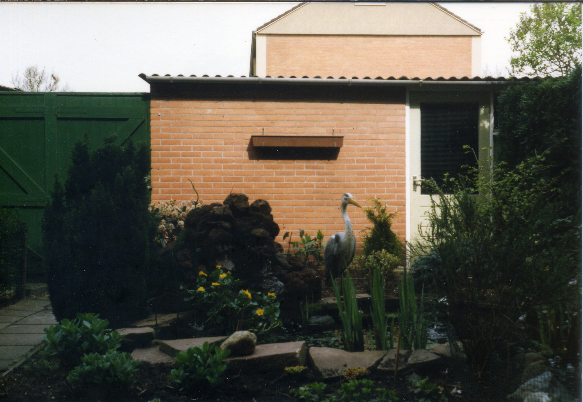Comment image
