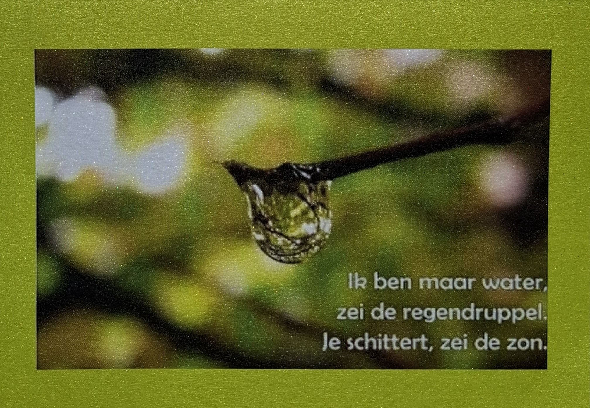 Comment image