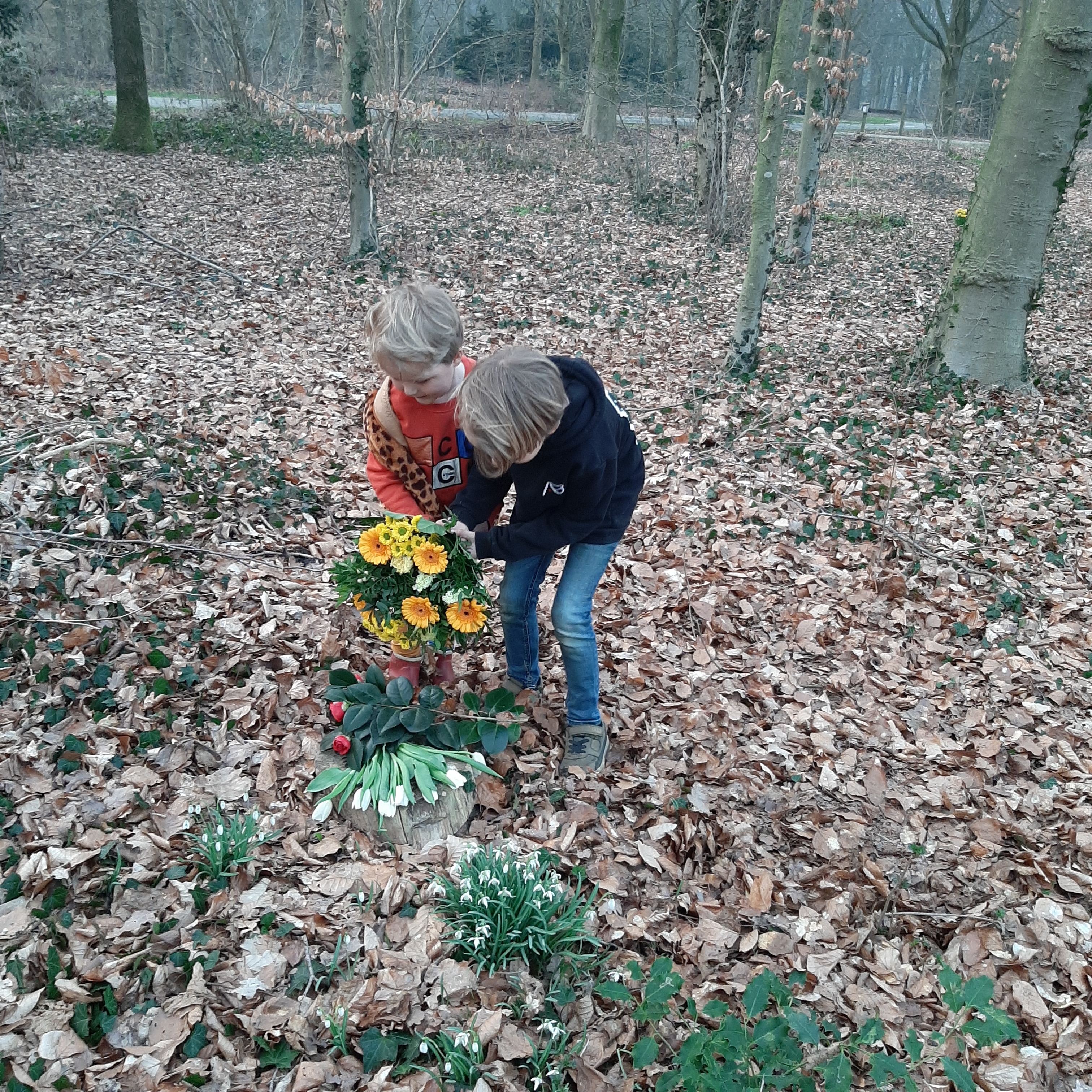 Comment image