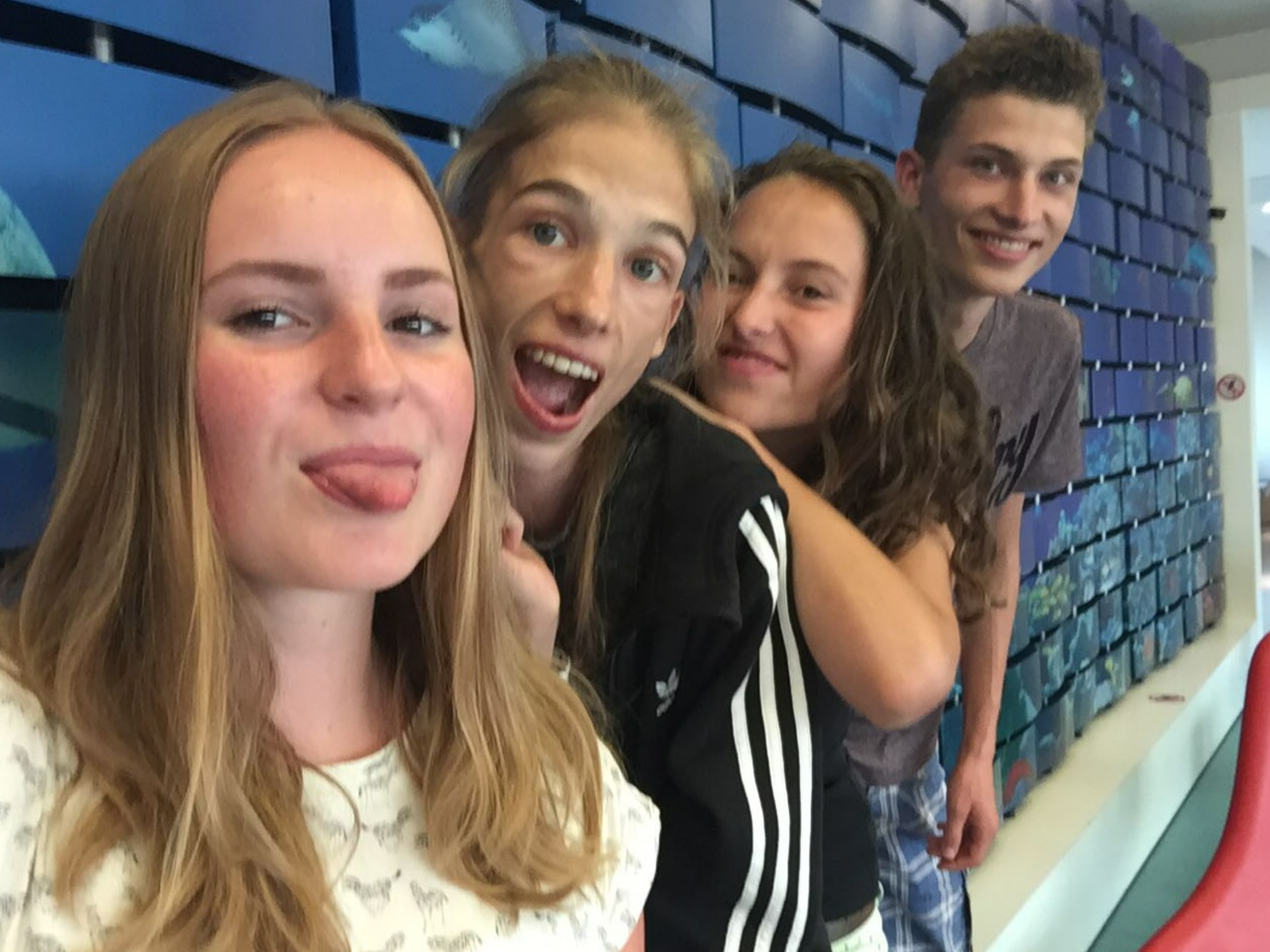 Gallery foto