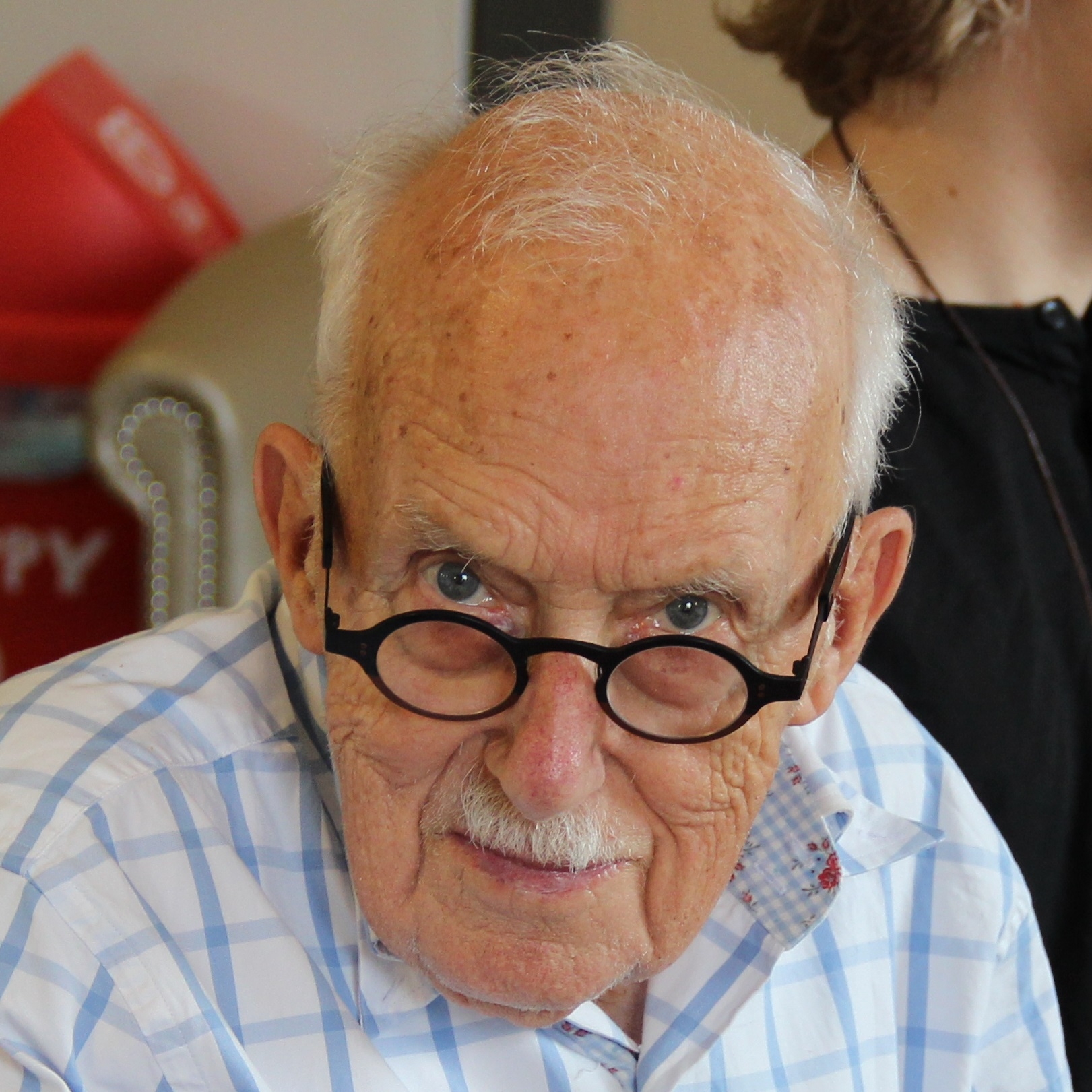 Theo Jansen