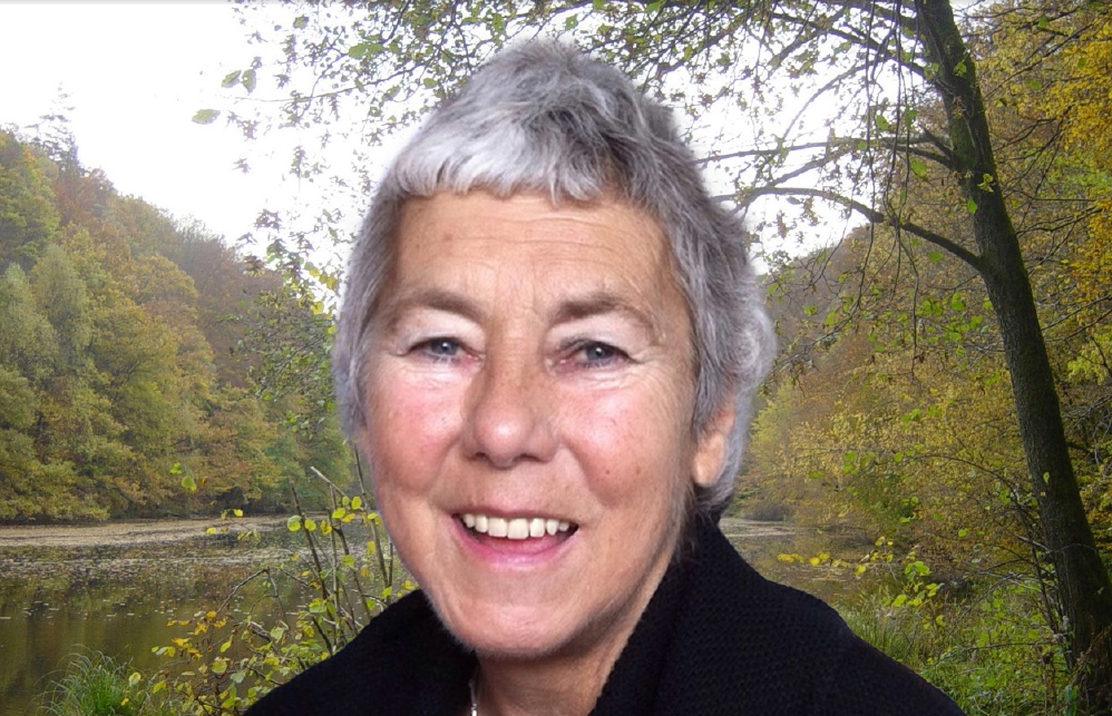 Hanneke van den Bos