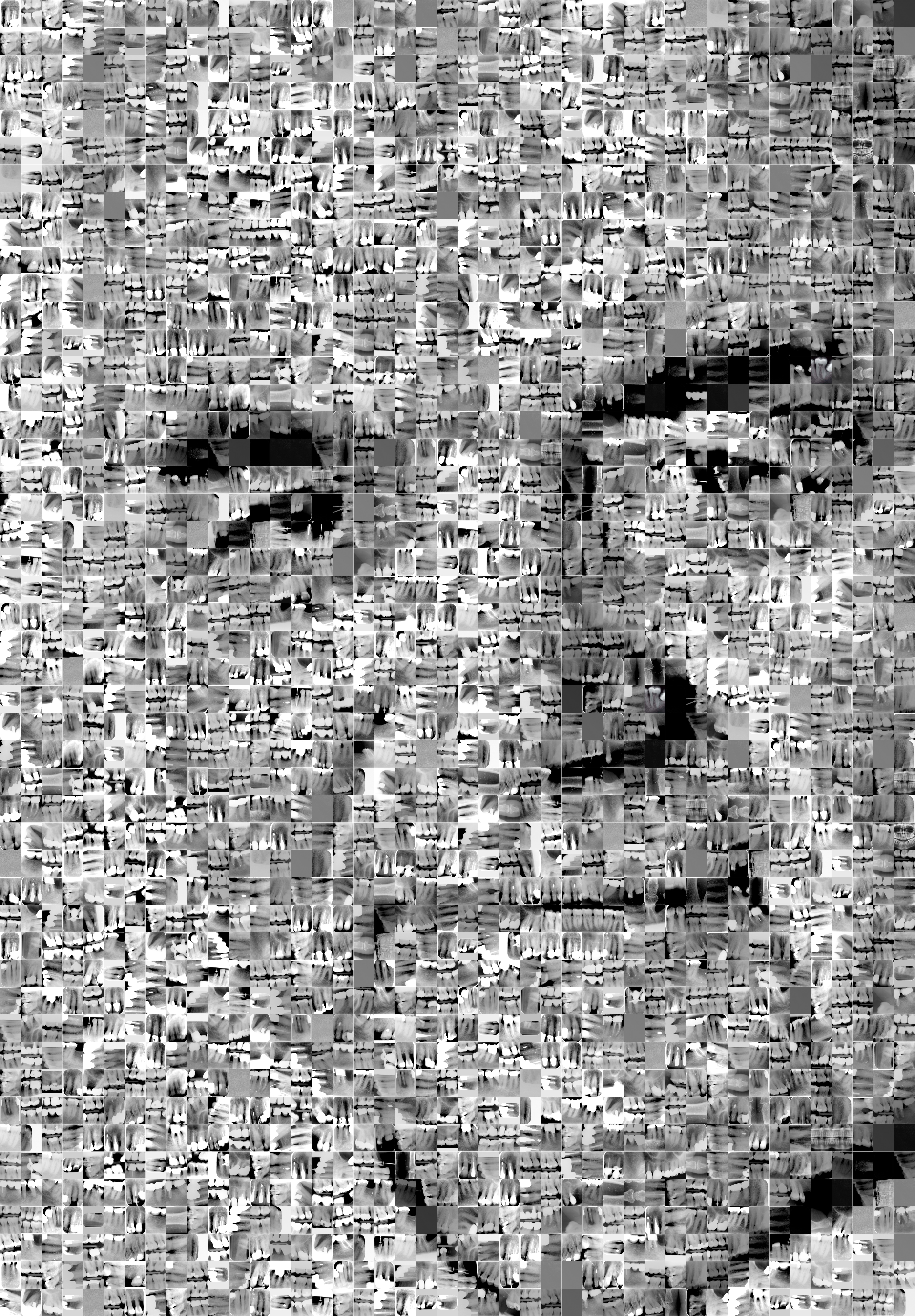 Bert Vlot