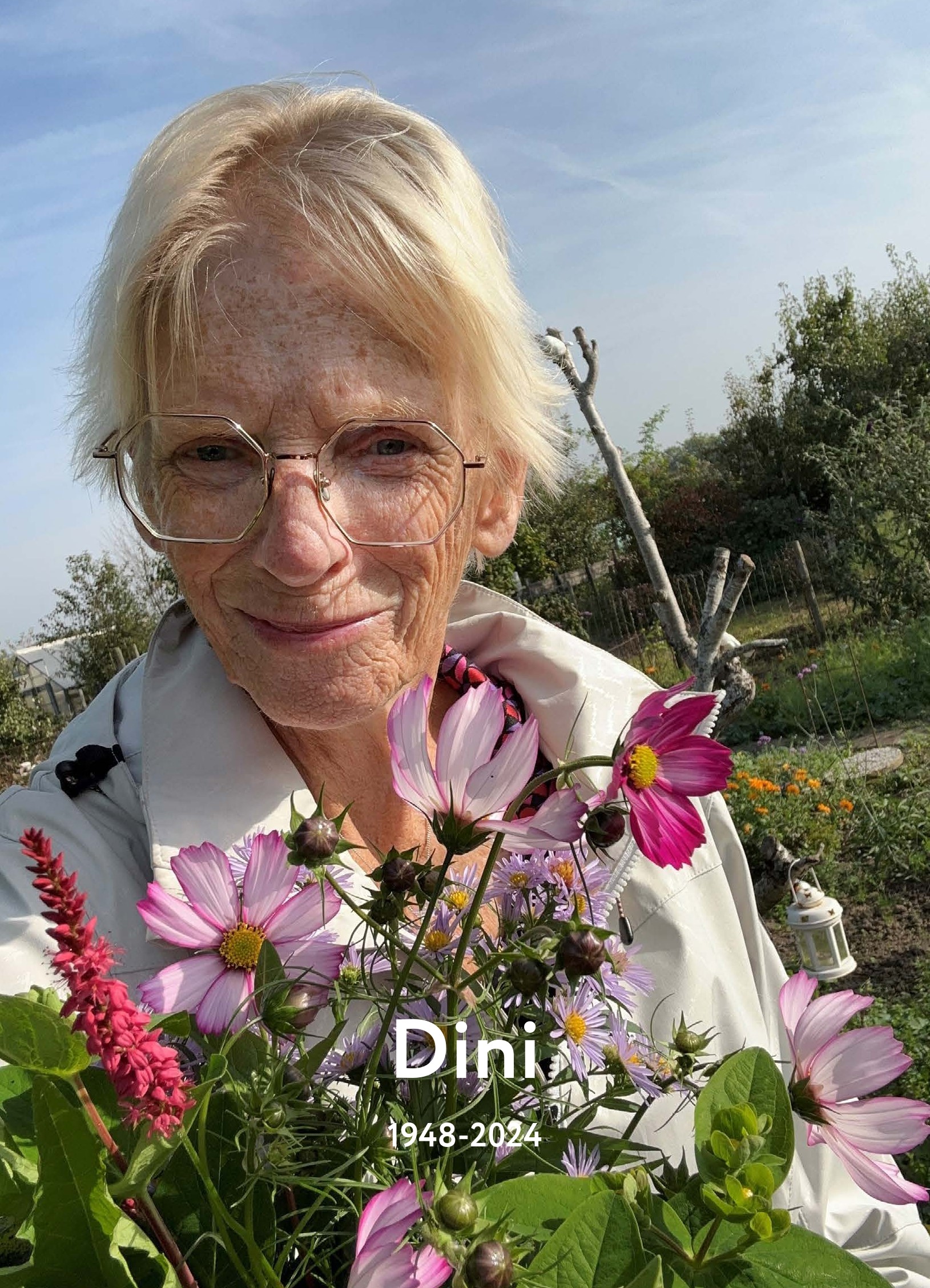 Dini Meijer-Huising